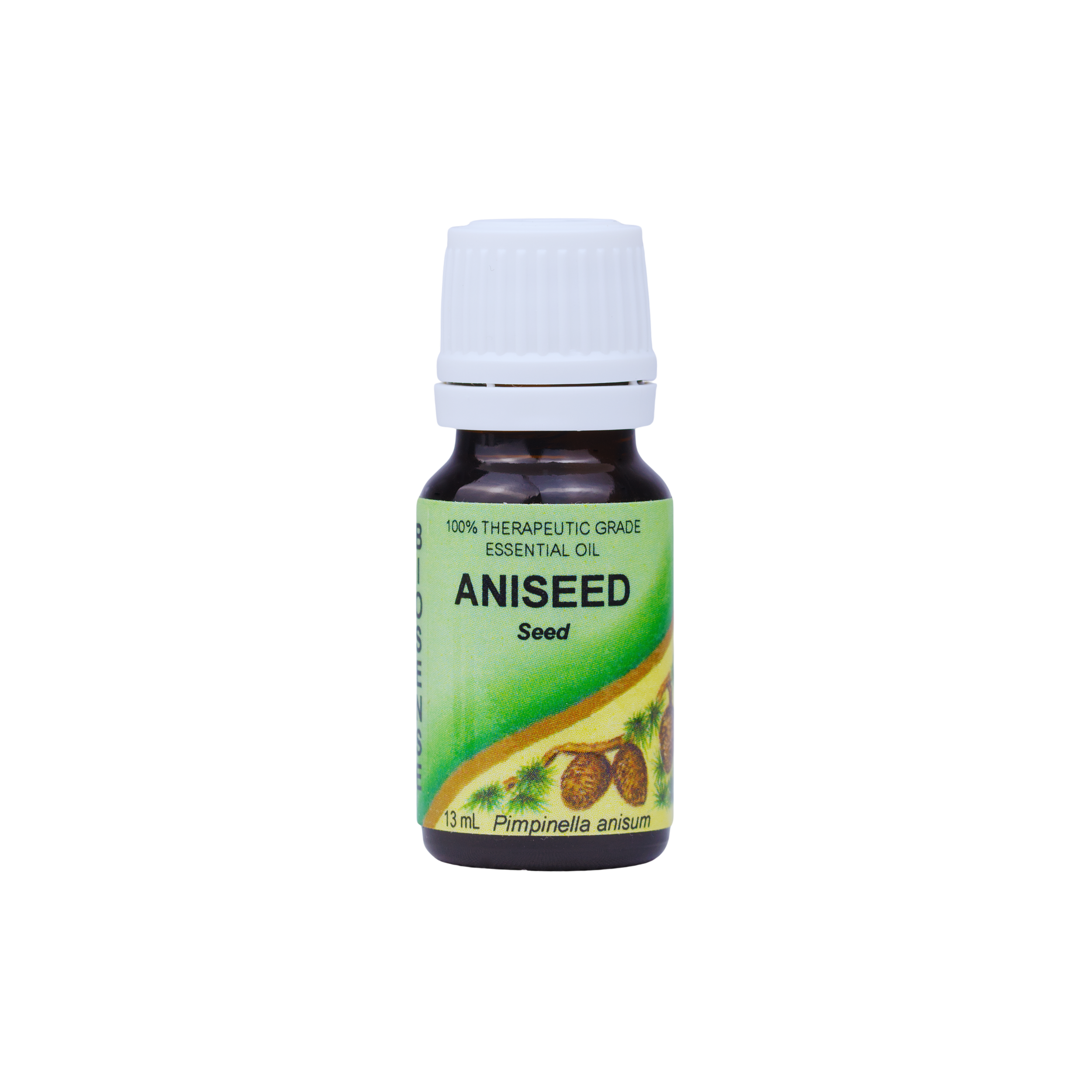 ANISEED