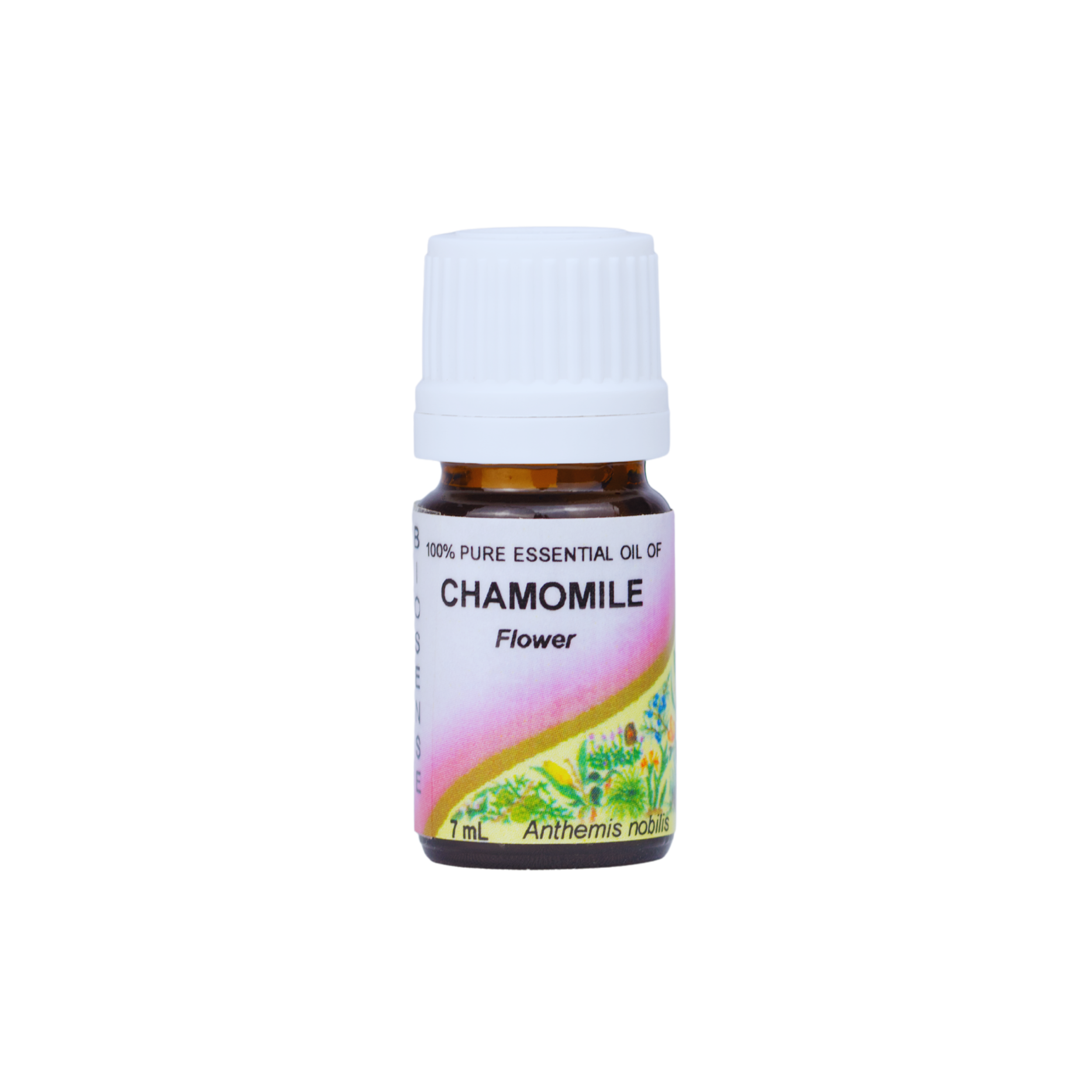 CHAMOMILE