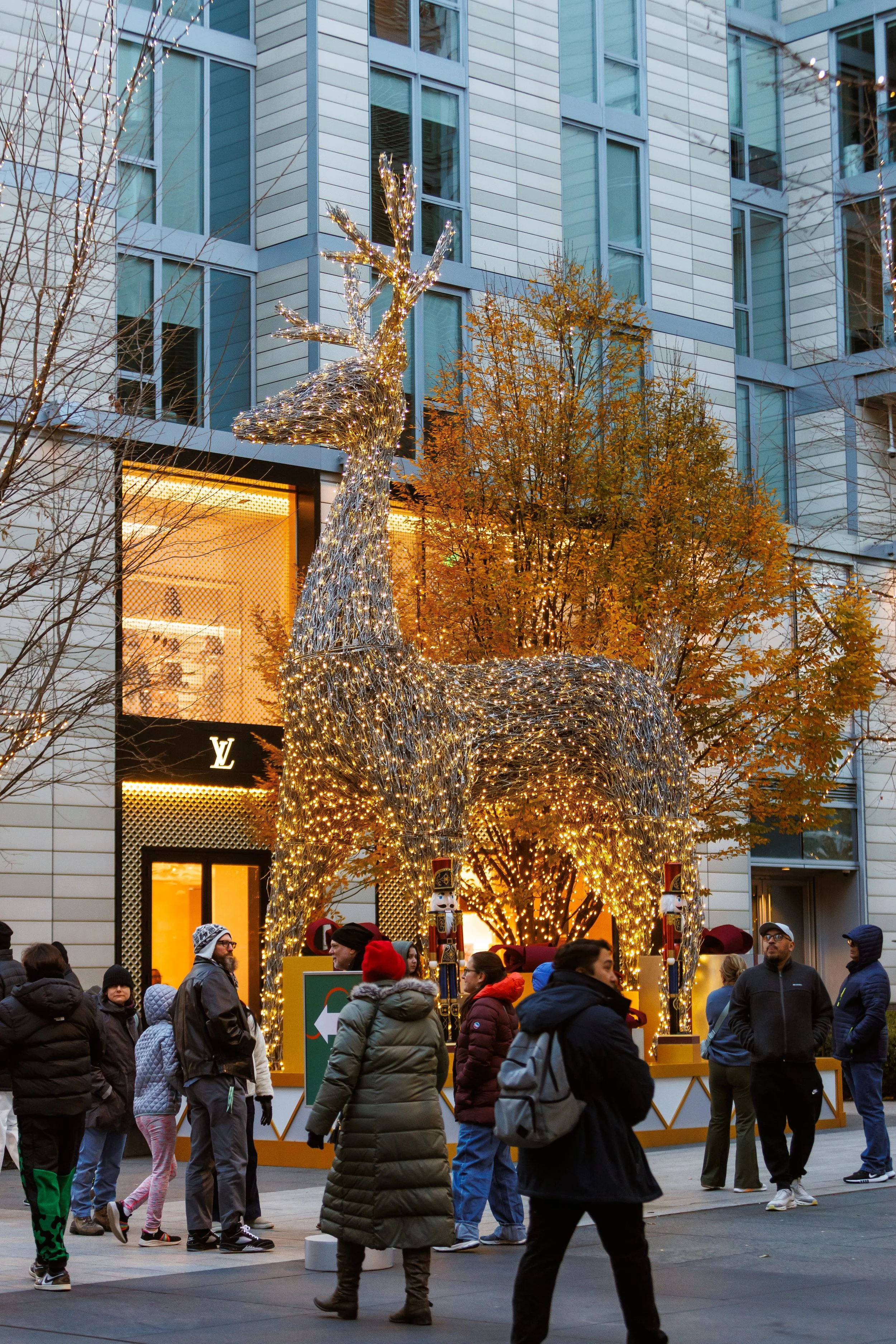 ccdc_tree_112925_sm-4 (1).jpg