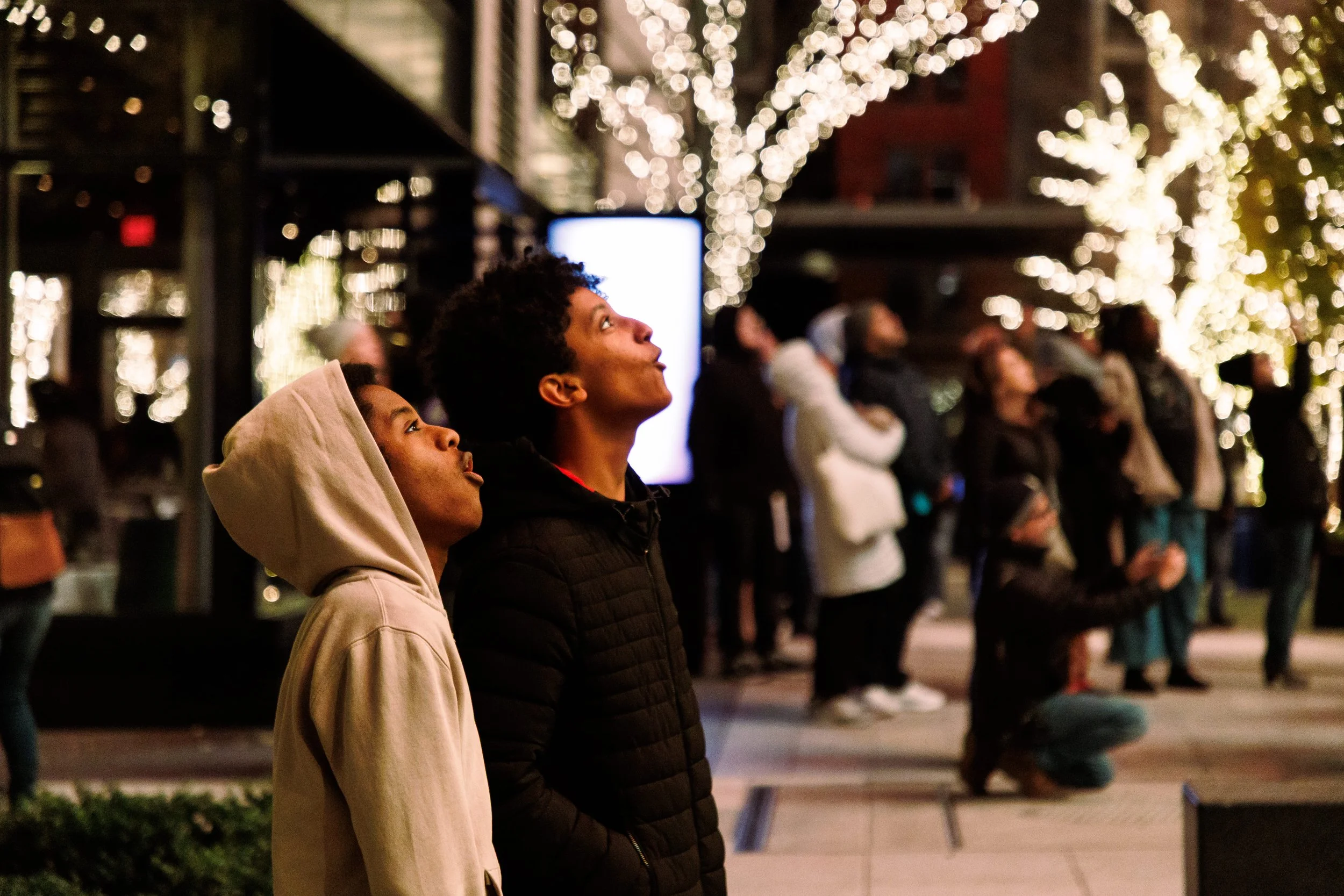 ccdc_tree_112925_sm-135 (1).jpg