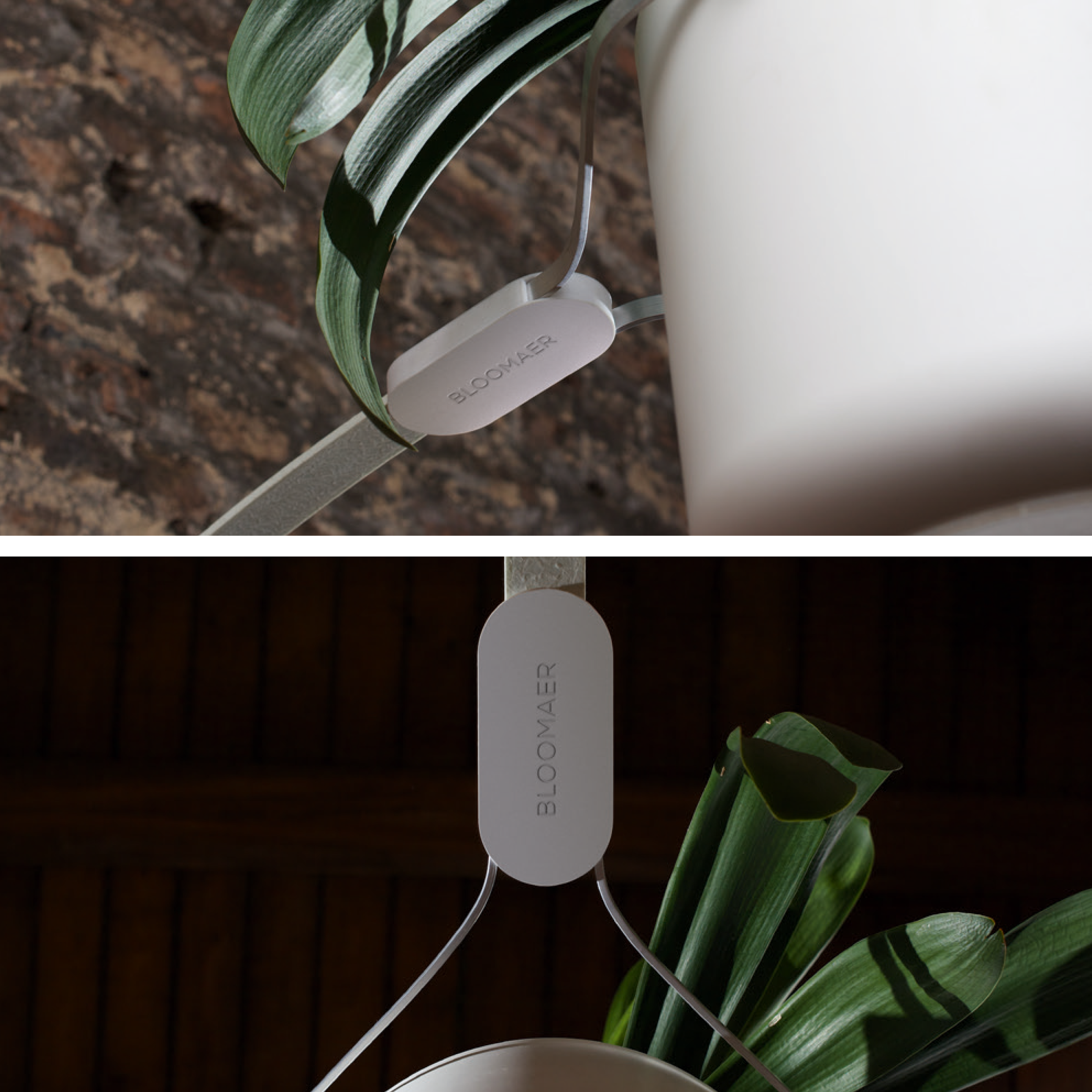 BLOOMAER one Detailansichten - schlichter, moderner Blumentopf mit grüner Pflanze an einer Wand montiert.