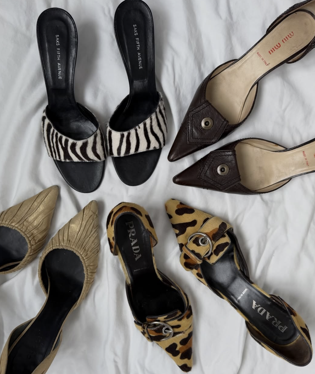 Screenshot 2026-02-23 at 12.33.53 PM.png