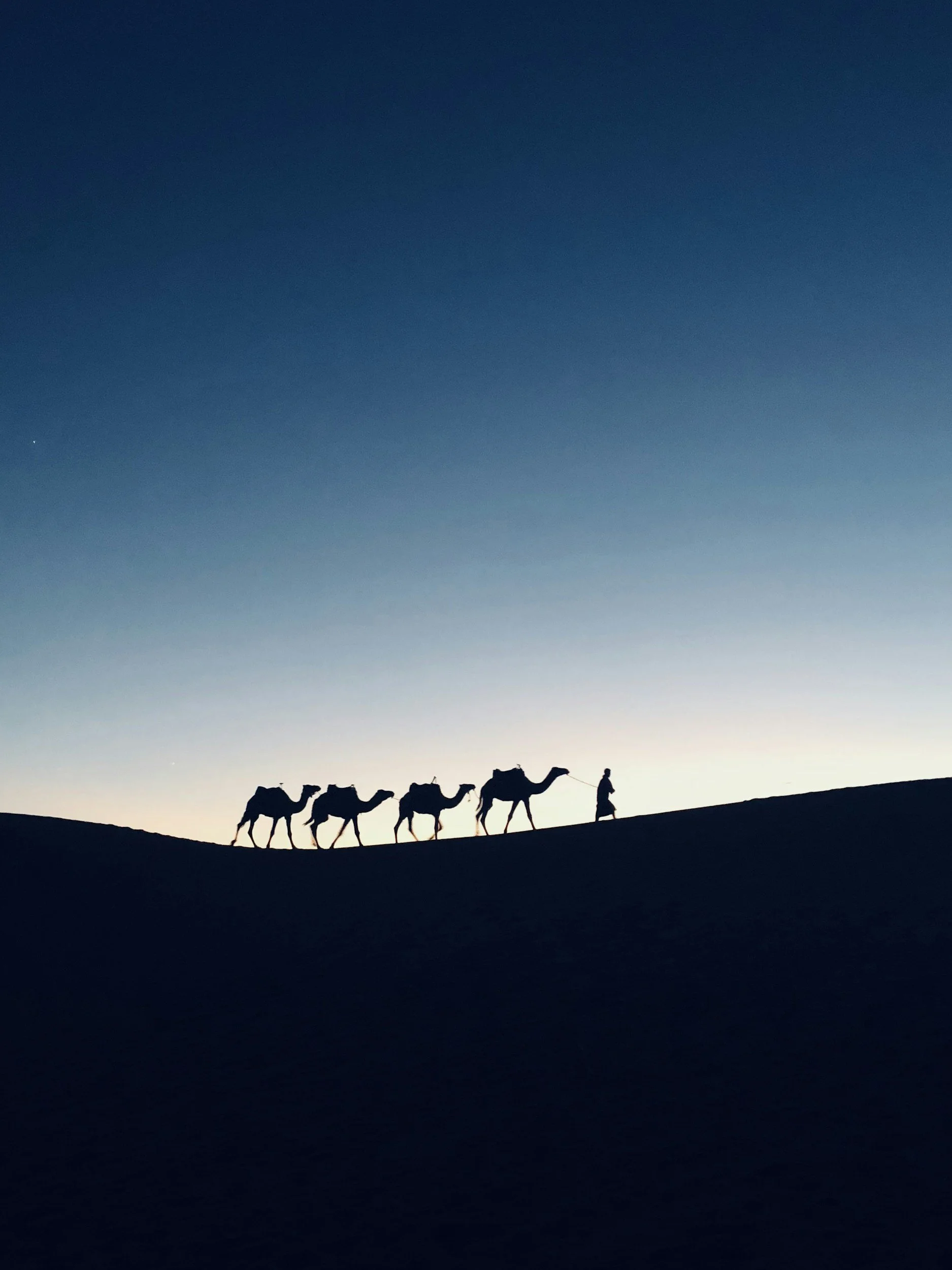 Camels, Needles and Impossible Good News