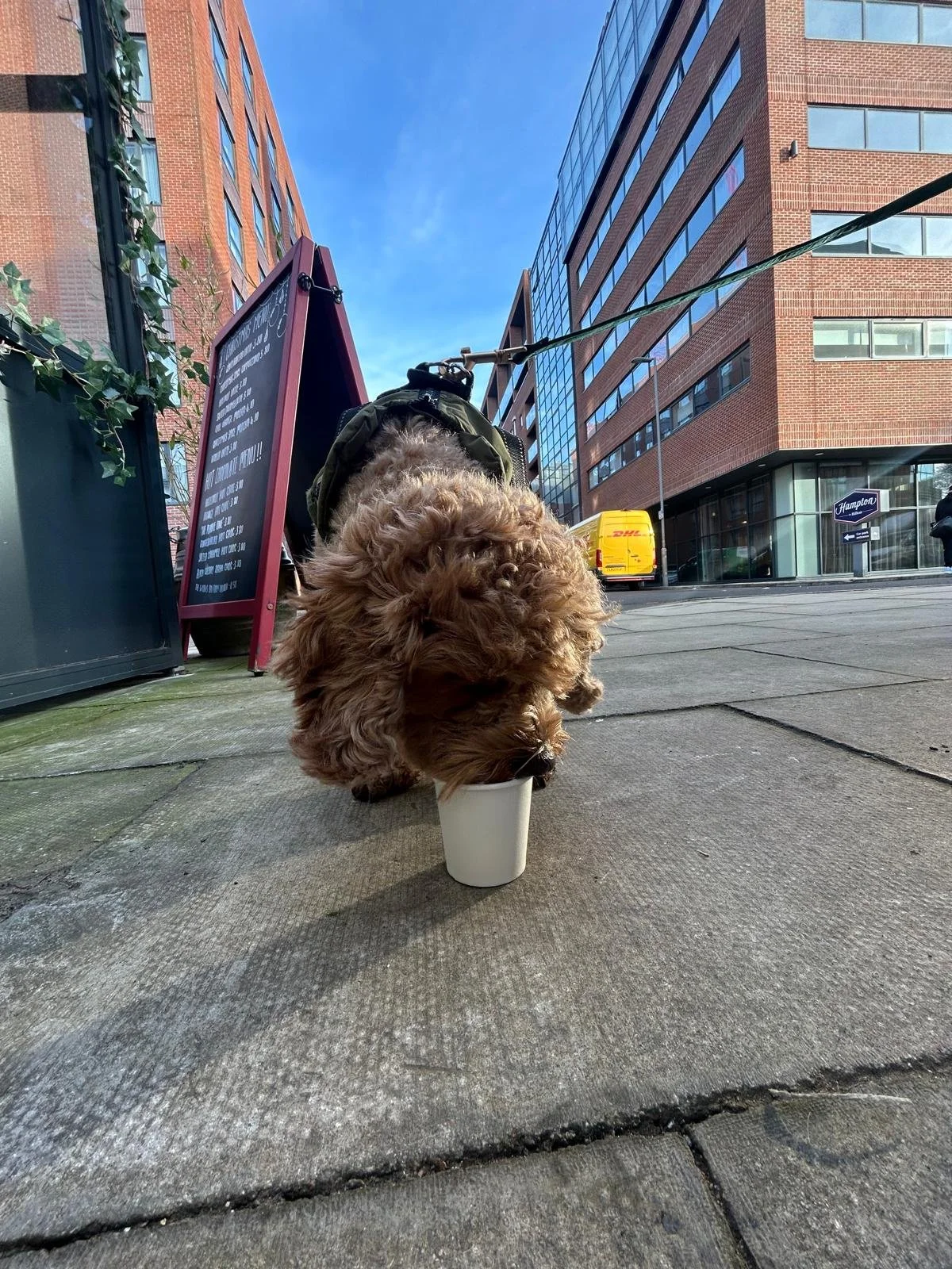 WhatsApp Image 2025-01-28 at 16.41.30 (1).jpeg