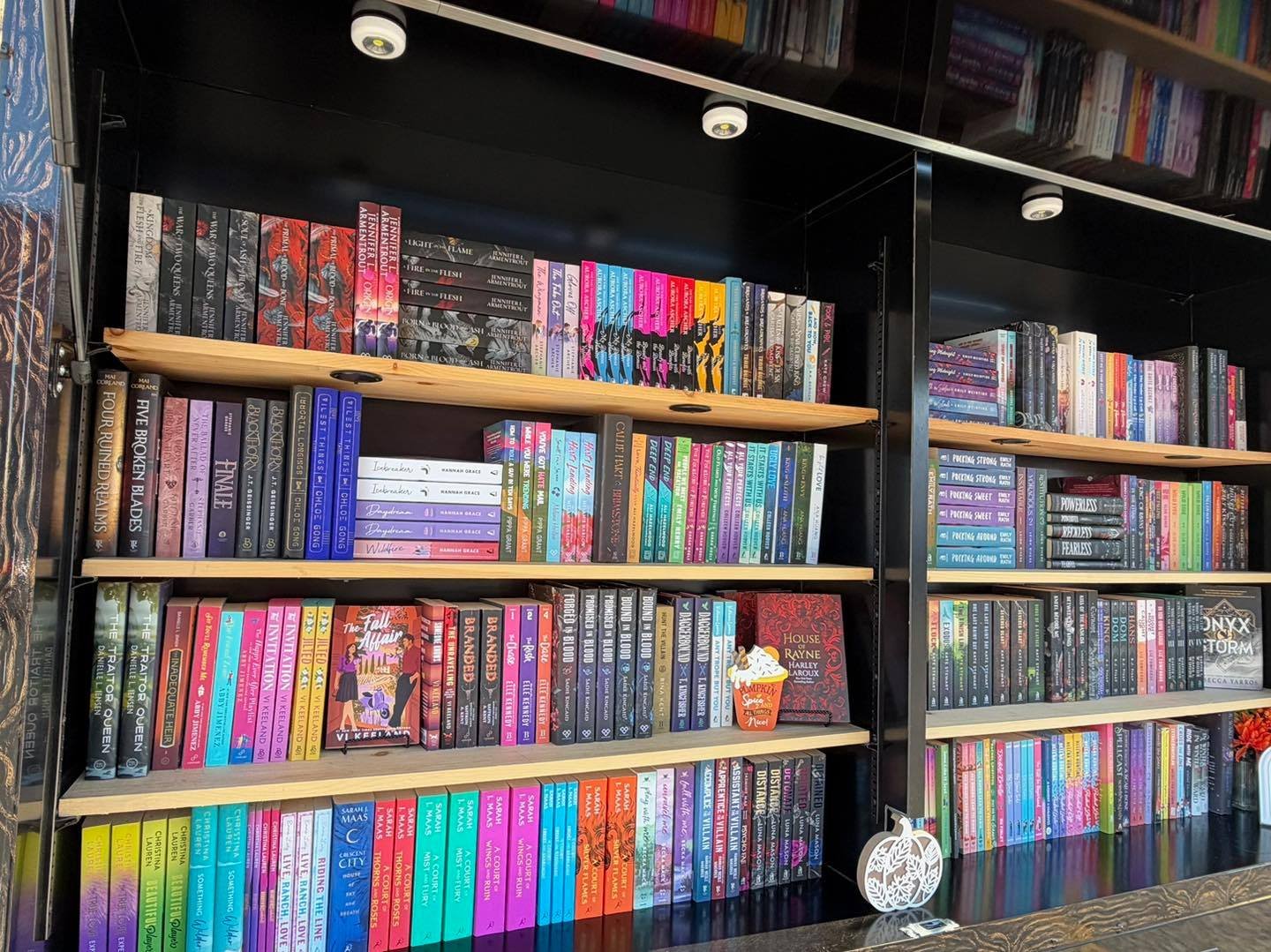 Your Friday morning coffee and next favorite read are waiting! ☕️📚🤎

We&rsquo;re open and ready to see you at Red Light Liquors in Denton!

Our shelves are fully stocked with new books, so it&rsquo;s the perfect time to find your favorite romance b