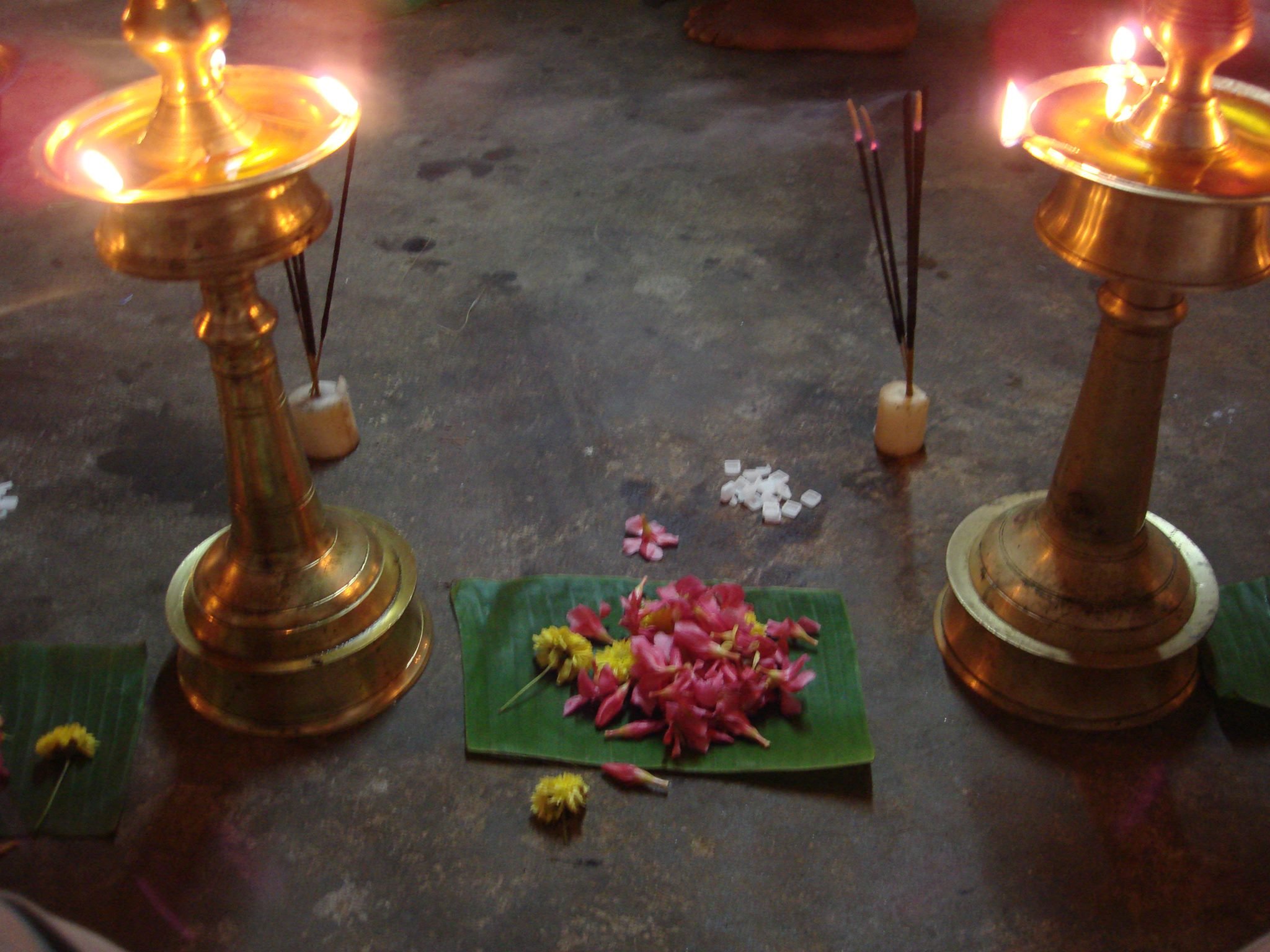 Past Workshops: See more