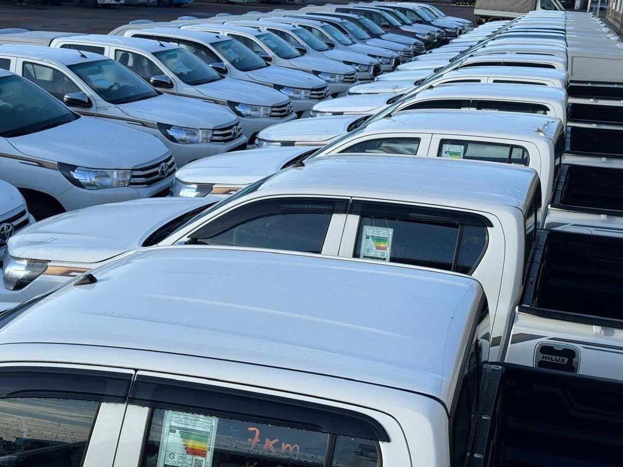 Rows of new silver and white pickup trucks parked in a dealership lot.