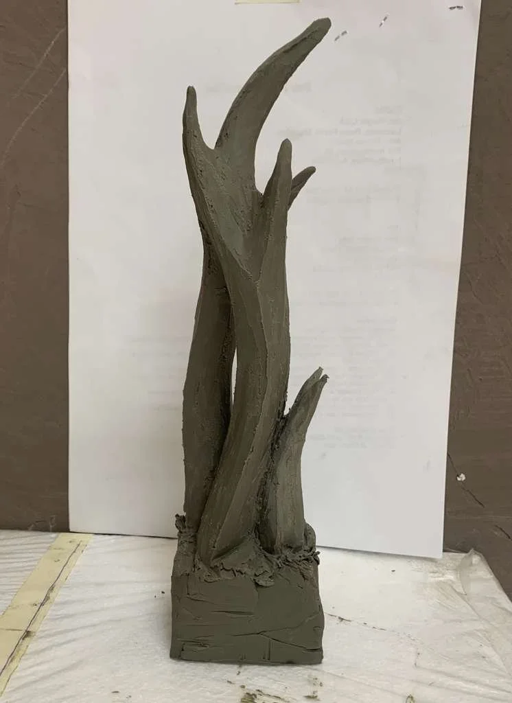 WhatsApp Image 2026-03-15 at 16.26.32.jpeg