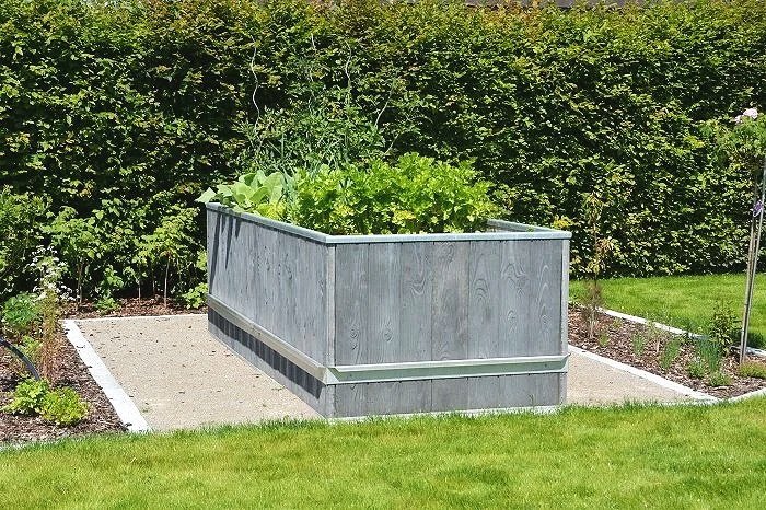 Ein rechteckiger Holz-Obstkorb im Garten mit grünen Pflanzen und Laub. Im Hintergrund sind Bäume und eine Rasenfläche sichtbar.