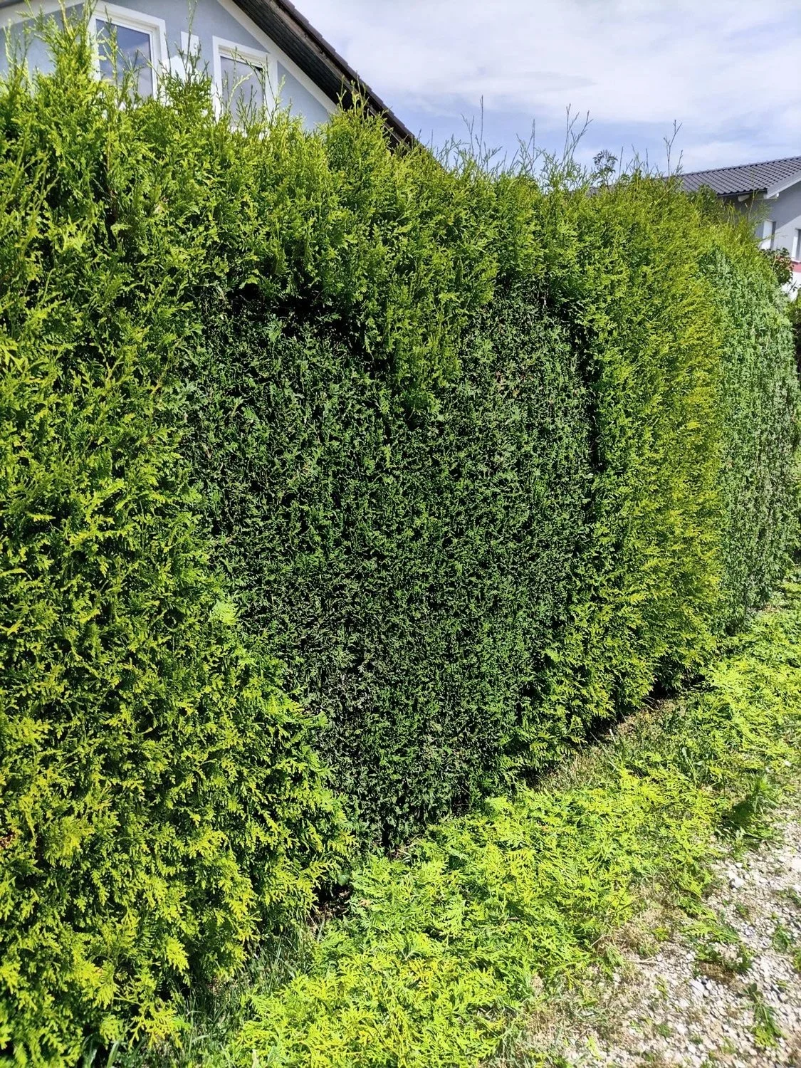 Gartenliebe bei der Gärtnerin, Gartenpflege, Gartenfreude