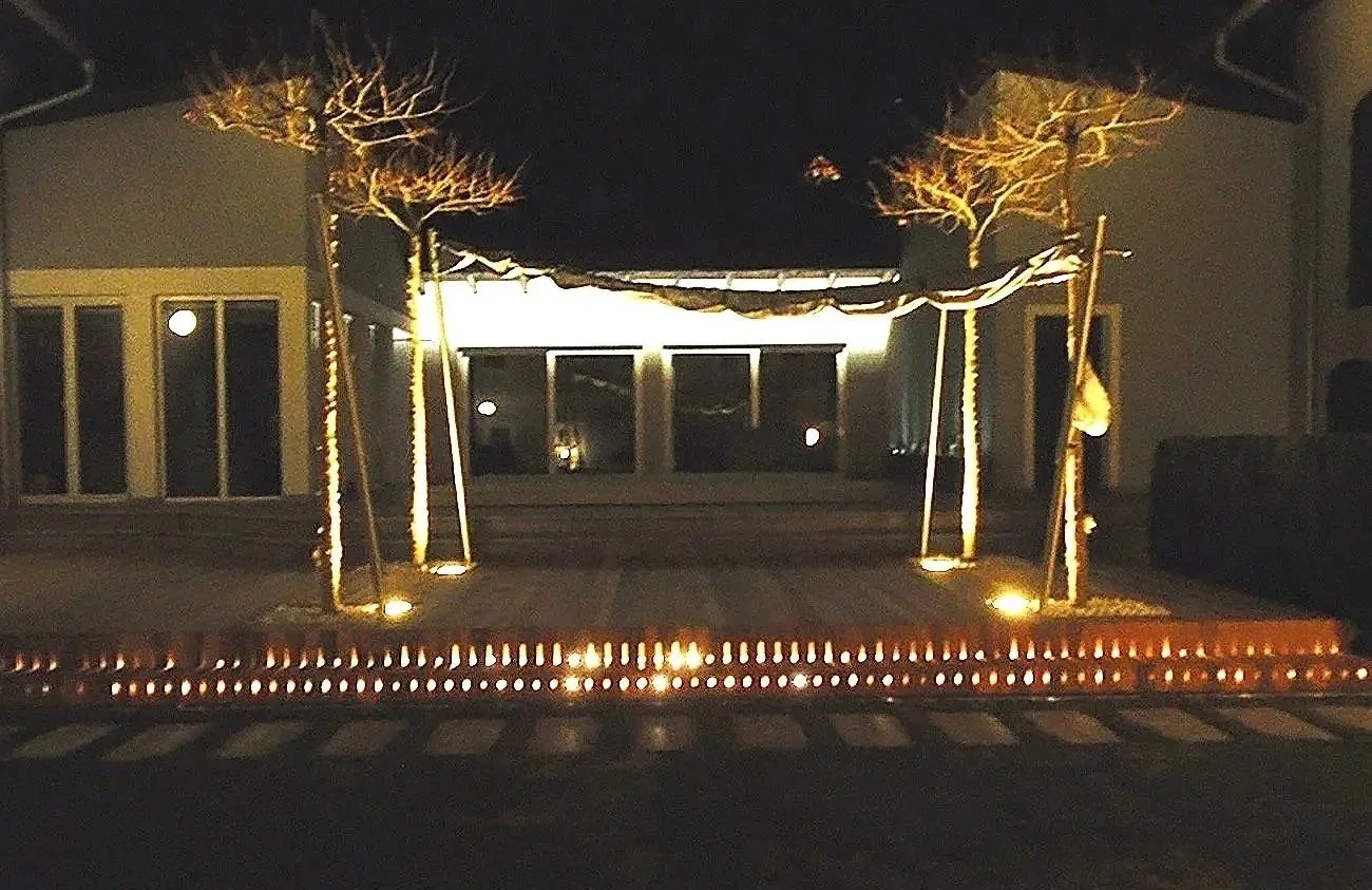 Ein Haus bei Nacht mit Lichterketten, die Bäume und den Eingangsbereich beleuchten.