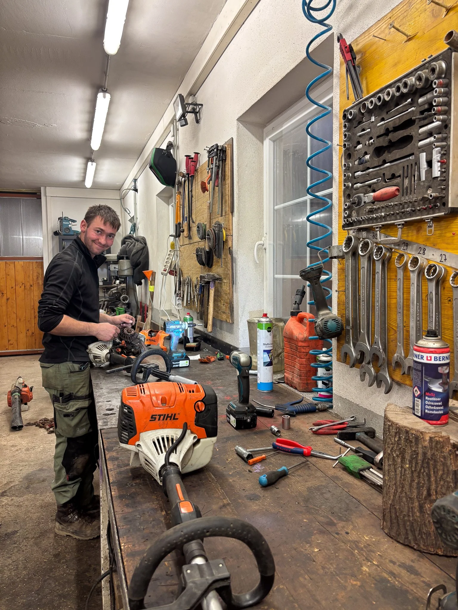 Gartengestaltung, Gartenbau, die Gärtnerin, Niederösterreich