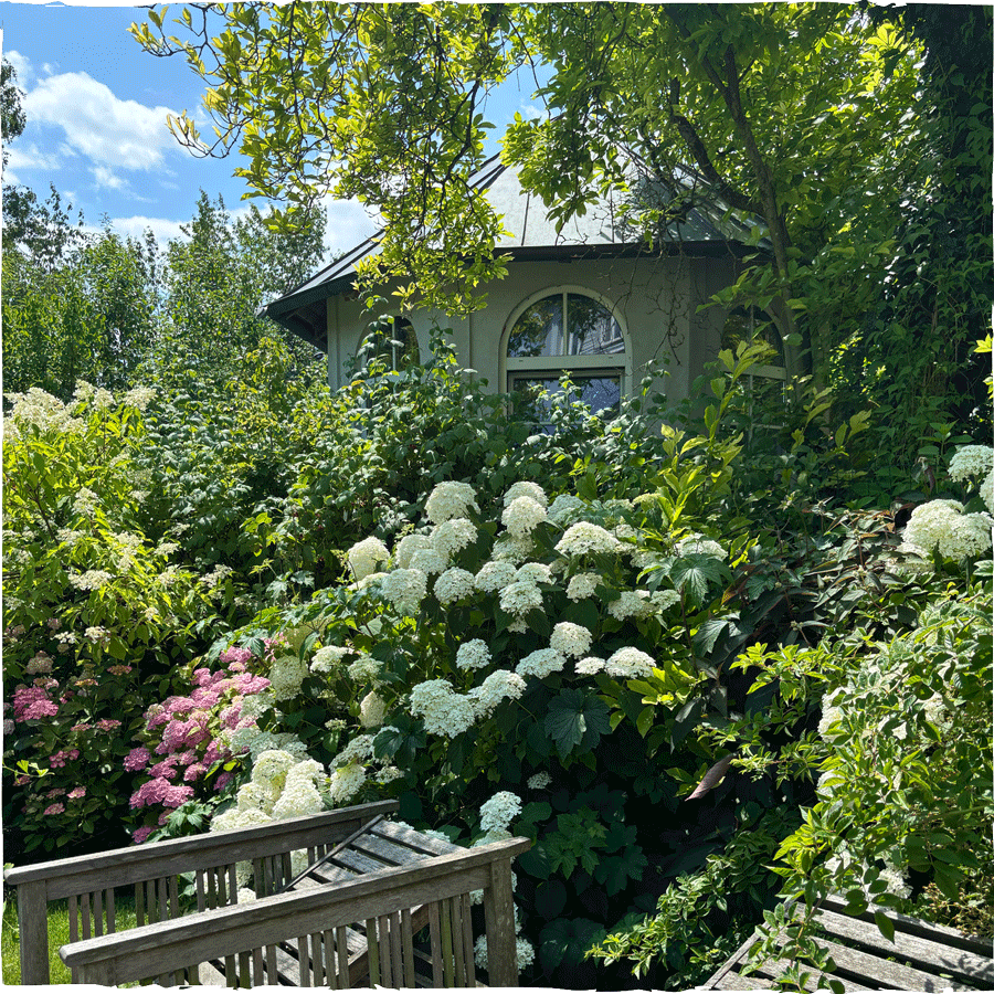 Ein Haus ist von üppigem grünen Garten mit weißen und rosa blühenden Blumen und Bäumen umgeben.