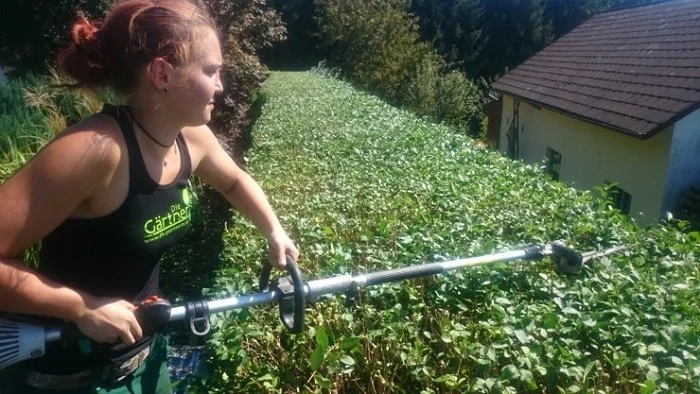 Gartenpflege die Gärtnerin