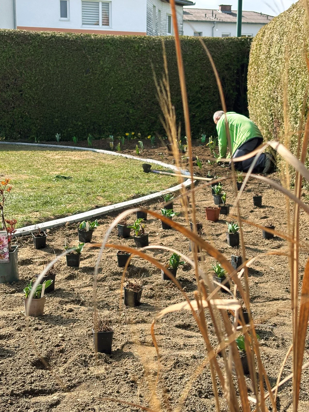 Ein Gärtner pflanzt Blumen in Blumenkübeln in einem Garten.