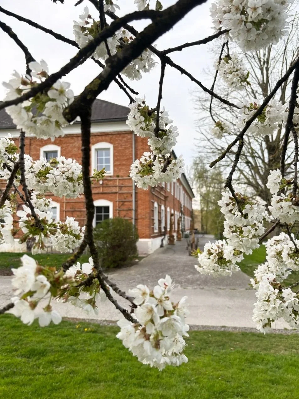 Gartenpflege Niederösterreich