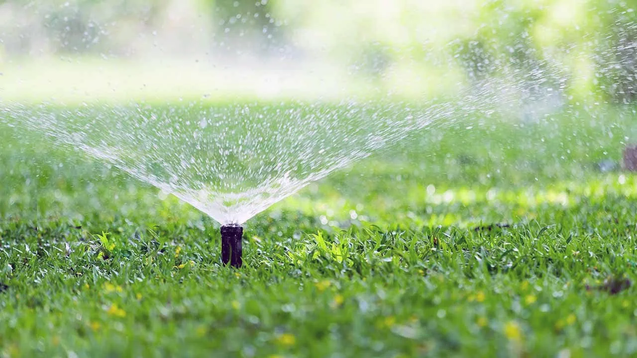 Bewässerungssprenger auf einem grünen Rasen, der Wasser sprüht