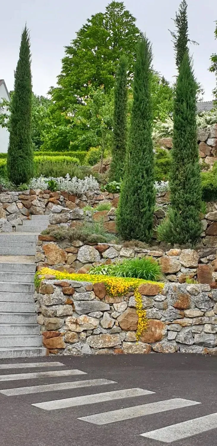 Garten mit Steintreppen, vertikalen Zypressen, blühenden Pflanzen und einem Zebrastreifen im Vordergrund.