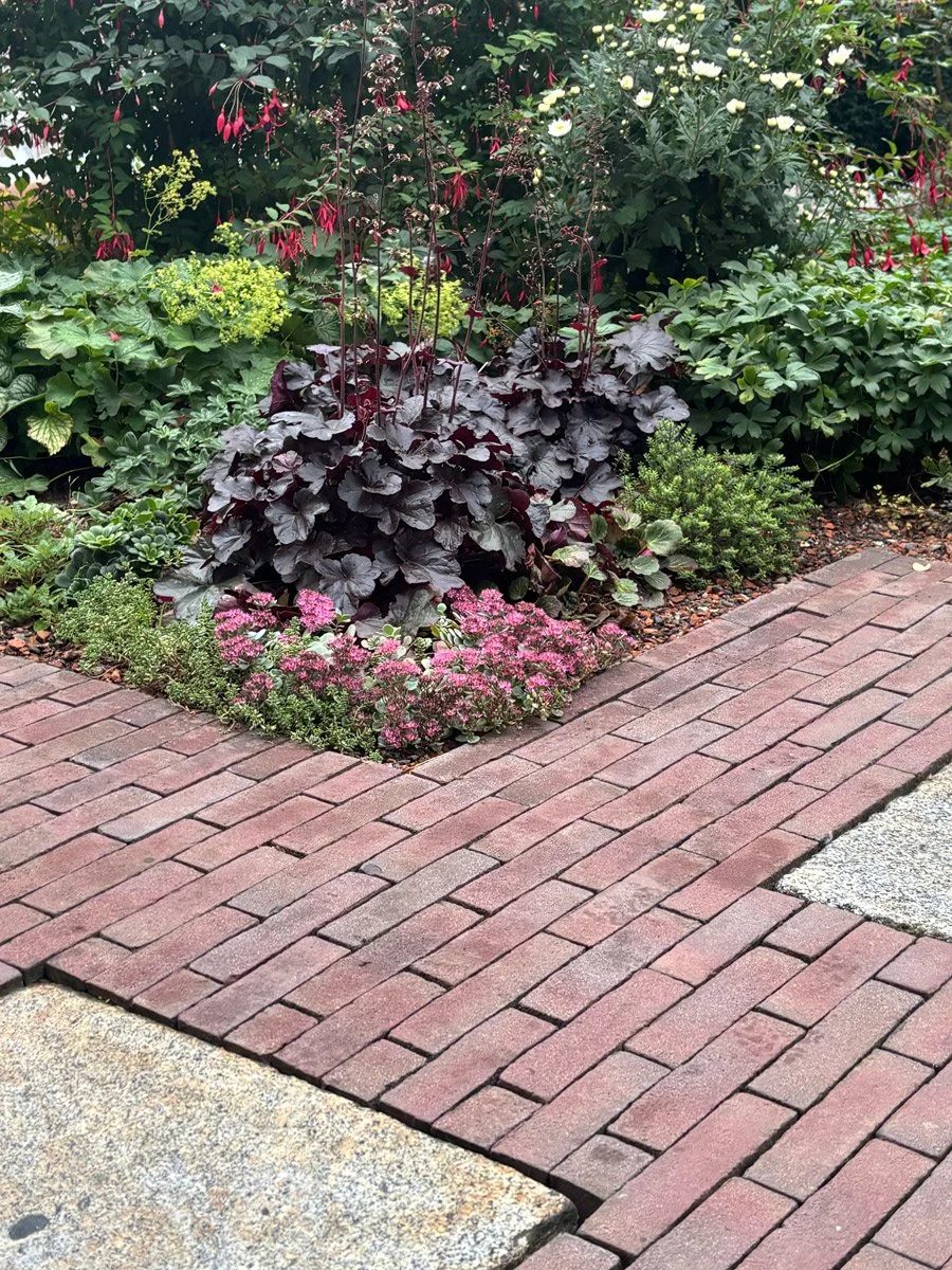 Garten mit verschiedenen Pflanzen und Blumen neben einem gepflasterten Weg.