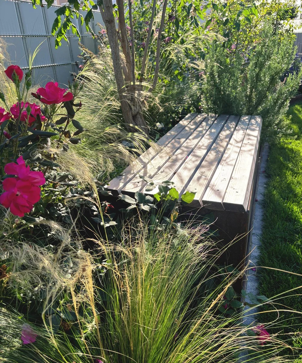 Ein Holzbank im Garten, umgeben von bunten Blumen, Gräsern und Büschen, bei Sonnenlicht.