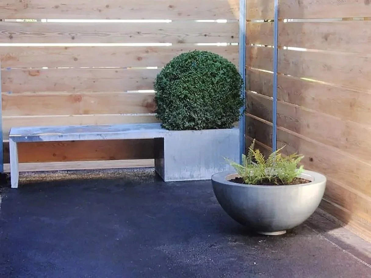 Holzverkleidung und Pflanzkübel mit grüner Pflanze und gepflanzter Staude auf Asphaltboden.