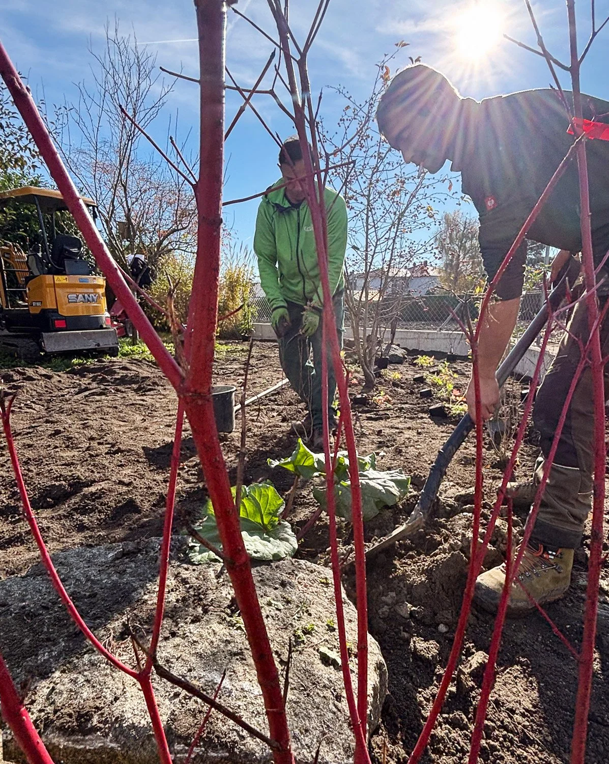 Gärtner bei der Beetpflege und Pflanzenpflege im Privatgarten