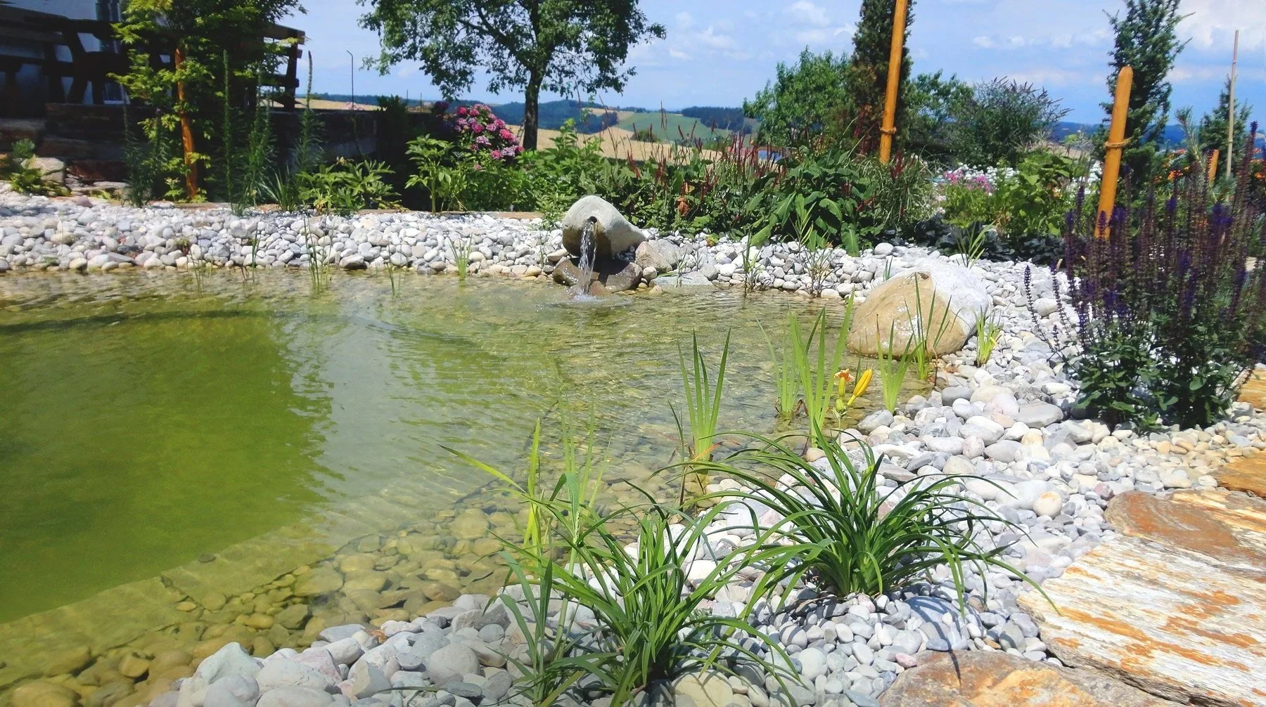 Garten mit Teich, Steinen, Pflanzen und blühenden Blumen bei sonnigem Wetter und Himmel