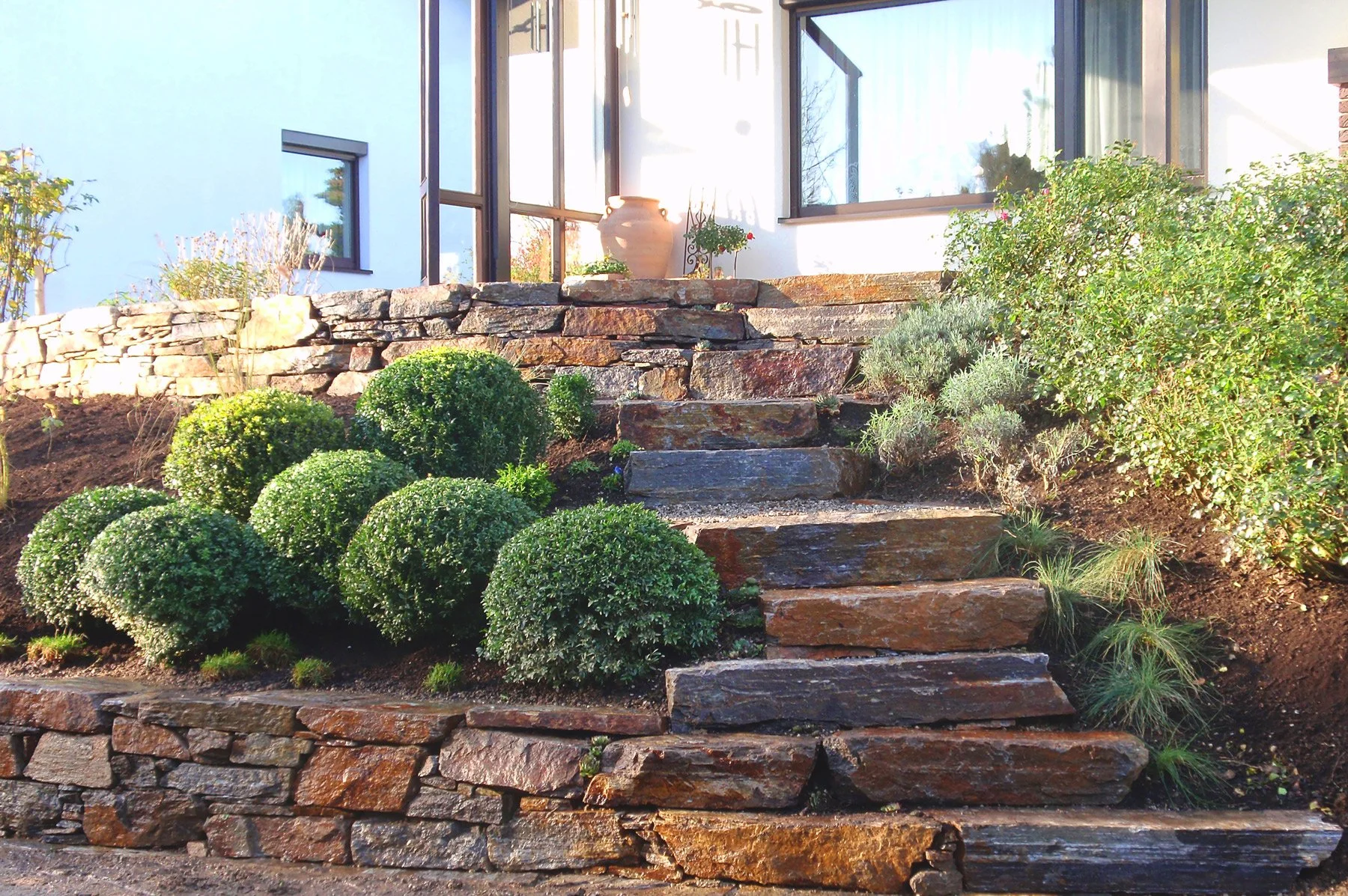 Garten mit Steintreppe, grüne Sträucher und Pflanzen vor einem modernen Haus mit großen Fenstern.