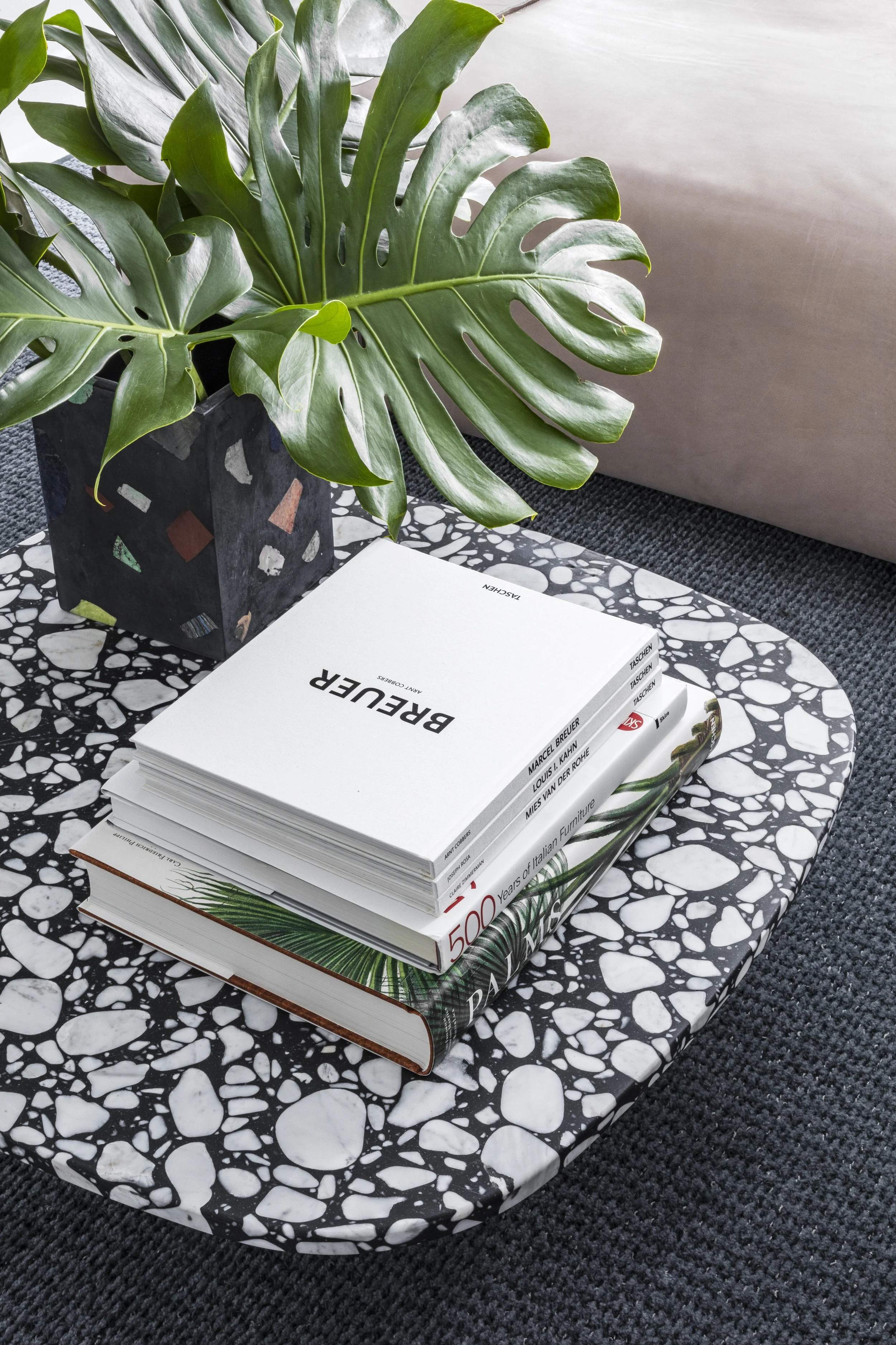 A table with a monochrome terrazzo pattern holding a potted Monstera plant and a stack of three books.