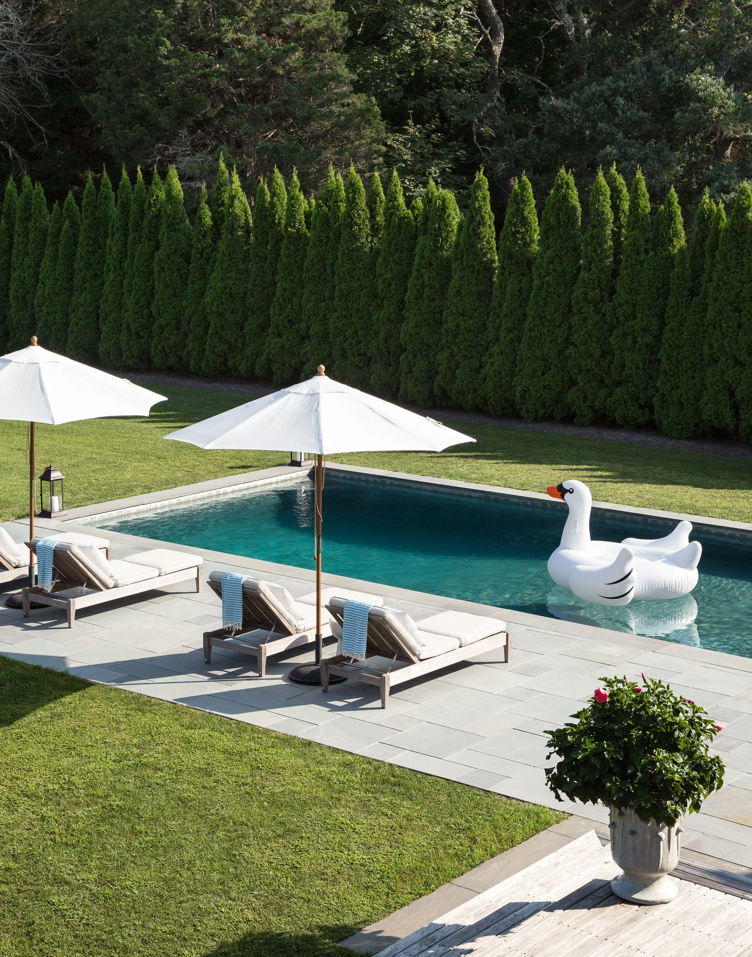 The pool area, complete with requisite 2016 swan float.