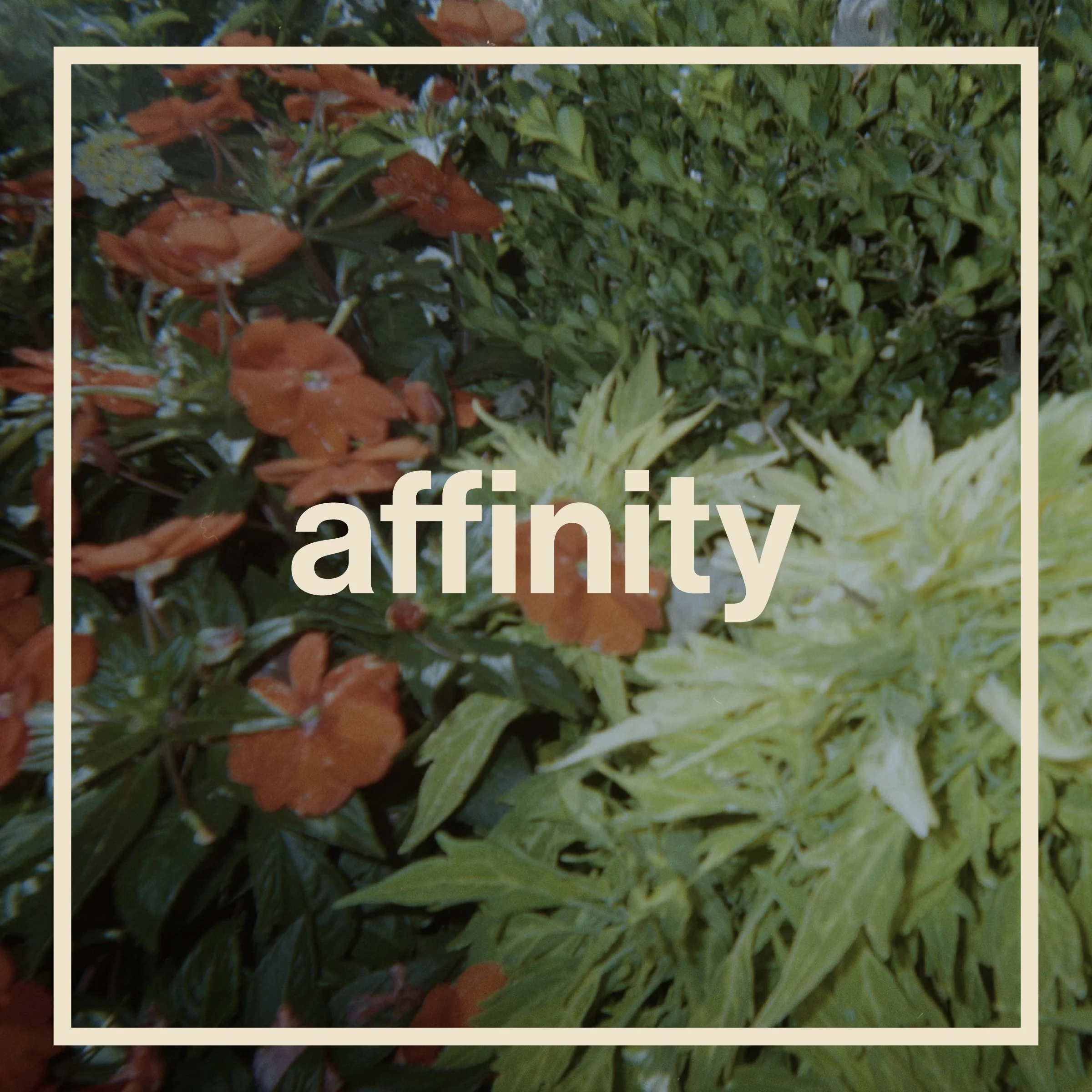 Affinity