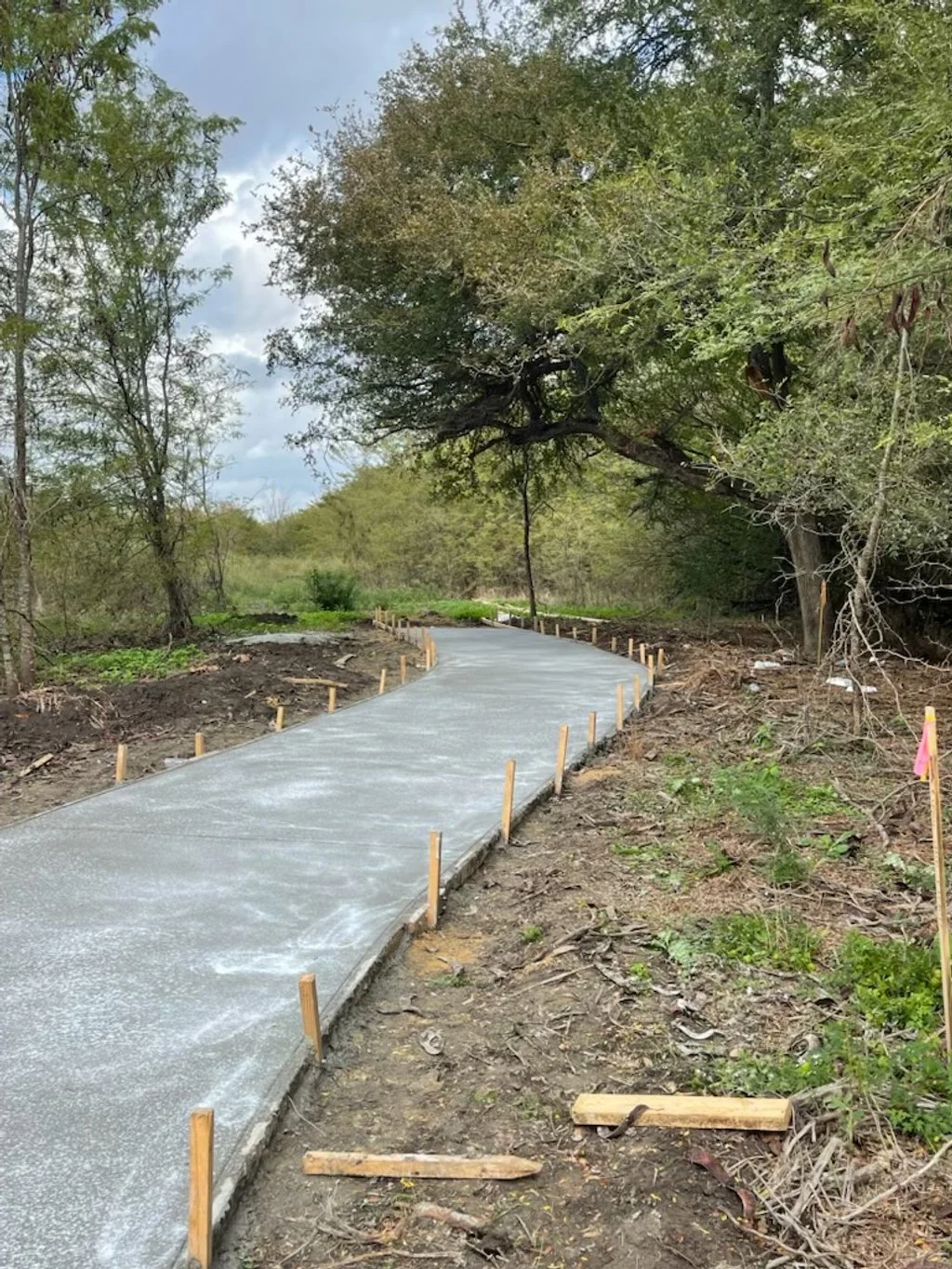 Newly poured concrete sidewalk winding through a natural area with trees on both sides, marked with wooden stakes.