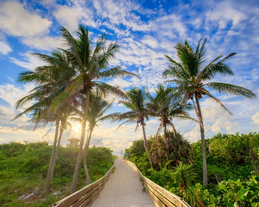 A wooden pathway through lush green foliage with palm trees on either side, leading towards the beach with the sun setting behind the trees and a partly cloudy sky.
