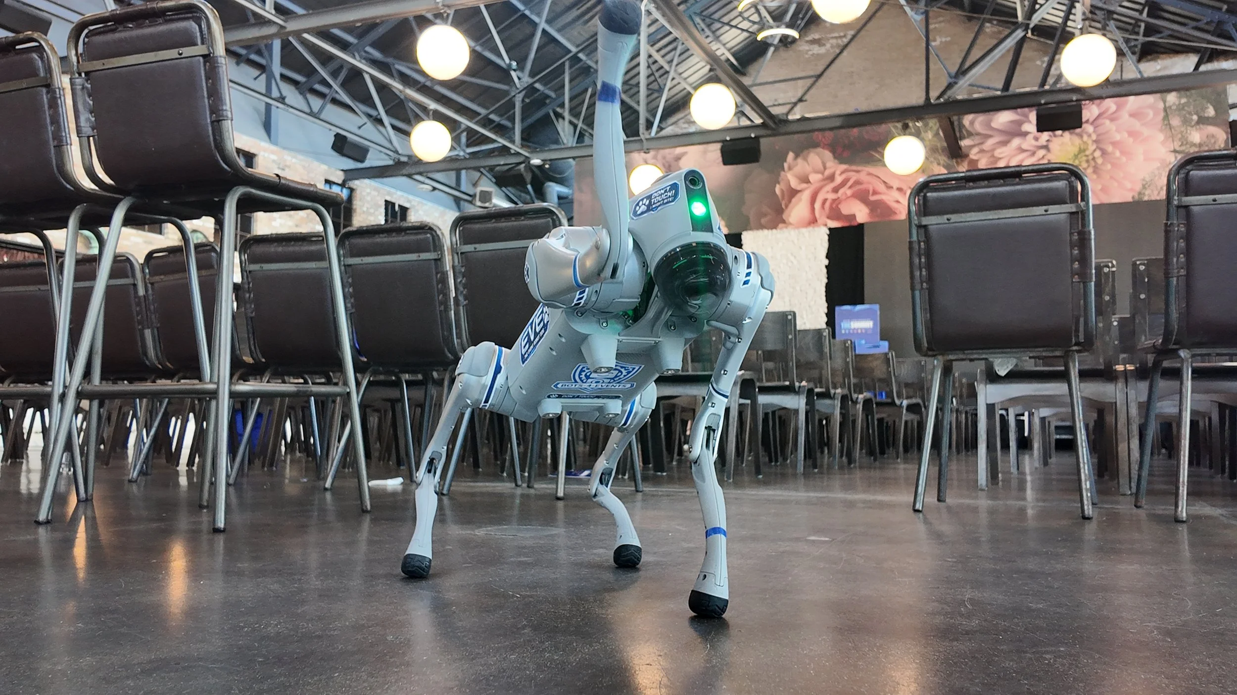 What is a robot dog activation?: How Robotic dogs are transforming brand events