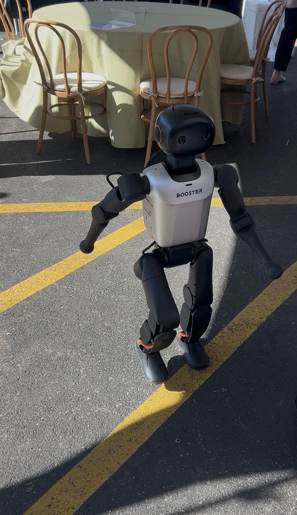 SelfieBot and Robodog fully branded for a brand activation event