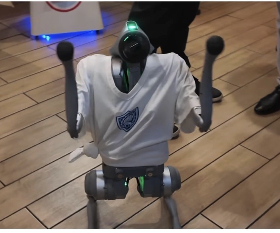 Robodog entertains guests at a marketing event