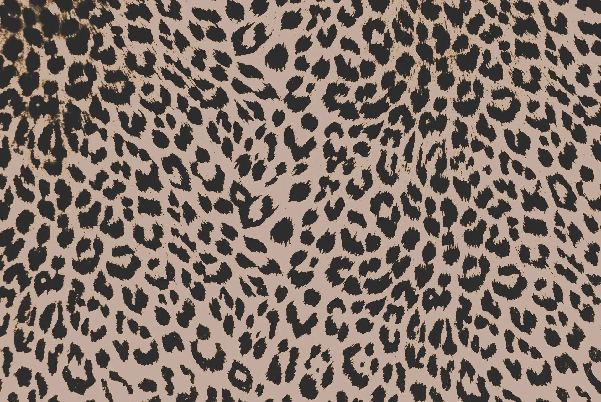 Monopole Bar, Plattsburgh