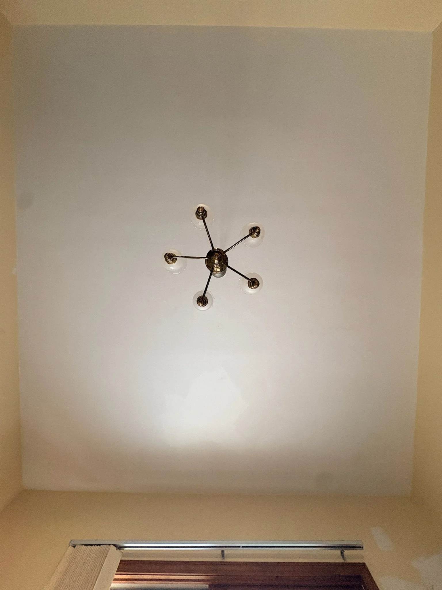 IMG_2396.jpeg