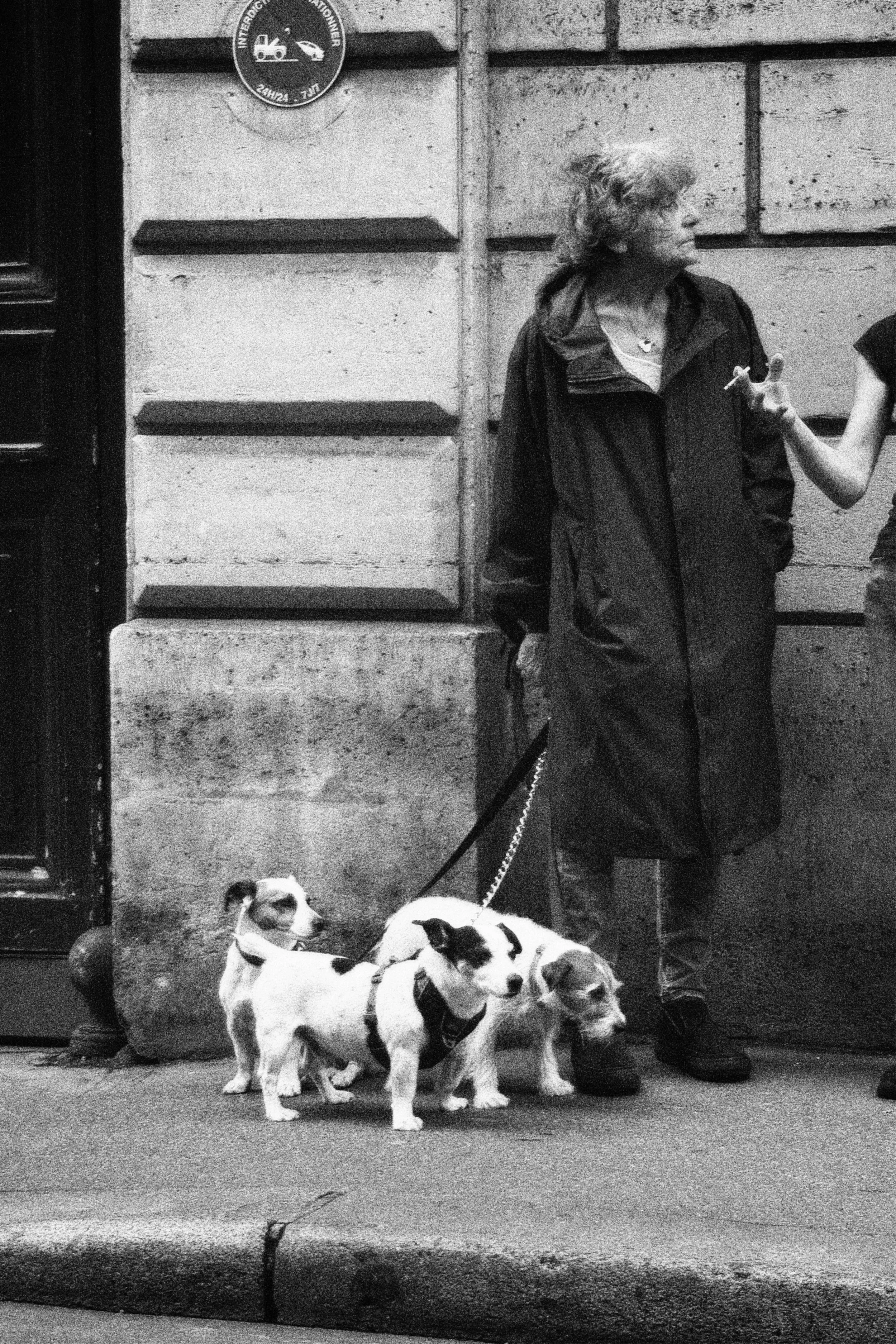 cpm35 2024-06-19 215509.347.jpeg