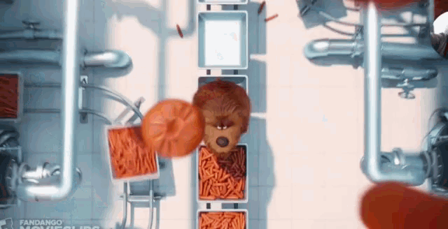 A DIFFERENT KIND OF SEARCH AND RESCUE DOG