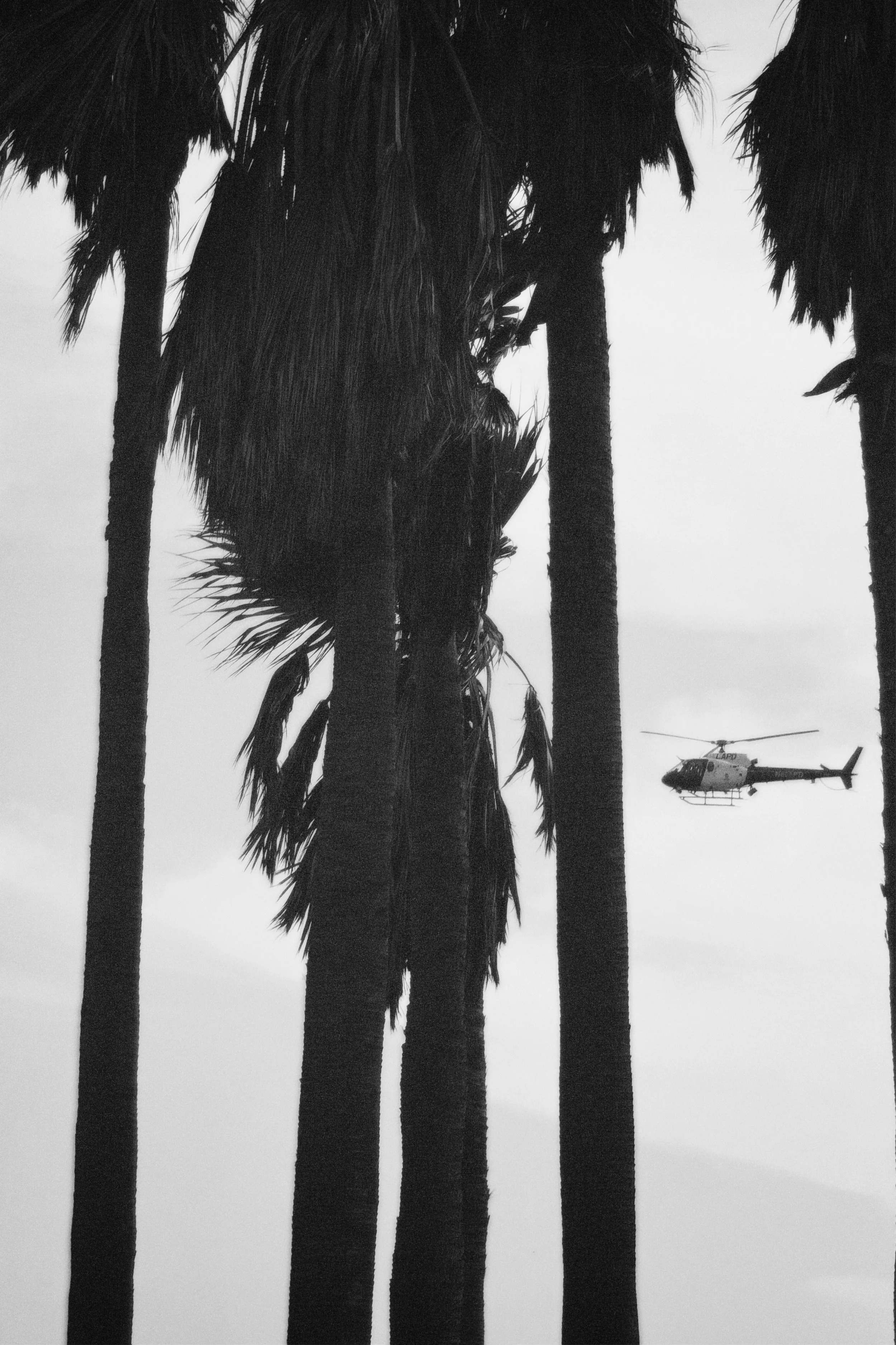 cpm35 2025-12-15 150809.175.jpeg