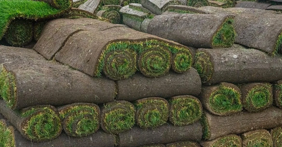 Tim's Turf and Landscaping Materials Fresh Cut Sod
