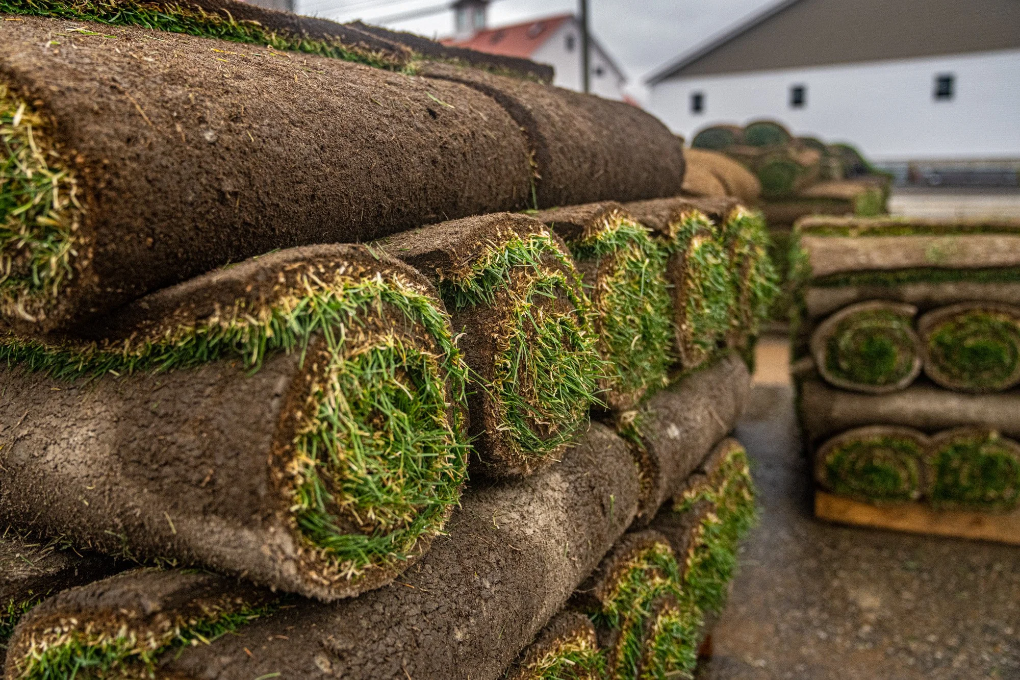 Tim's Turf and Landscaping Materials Fresh Cut Sod