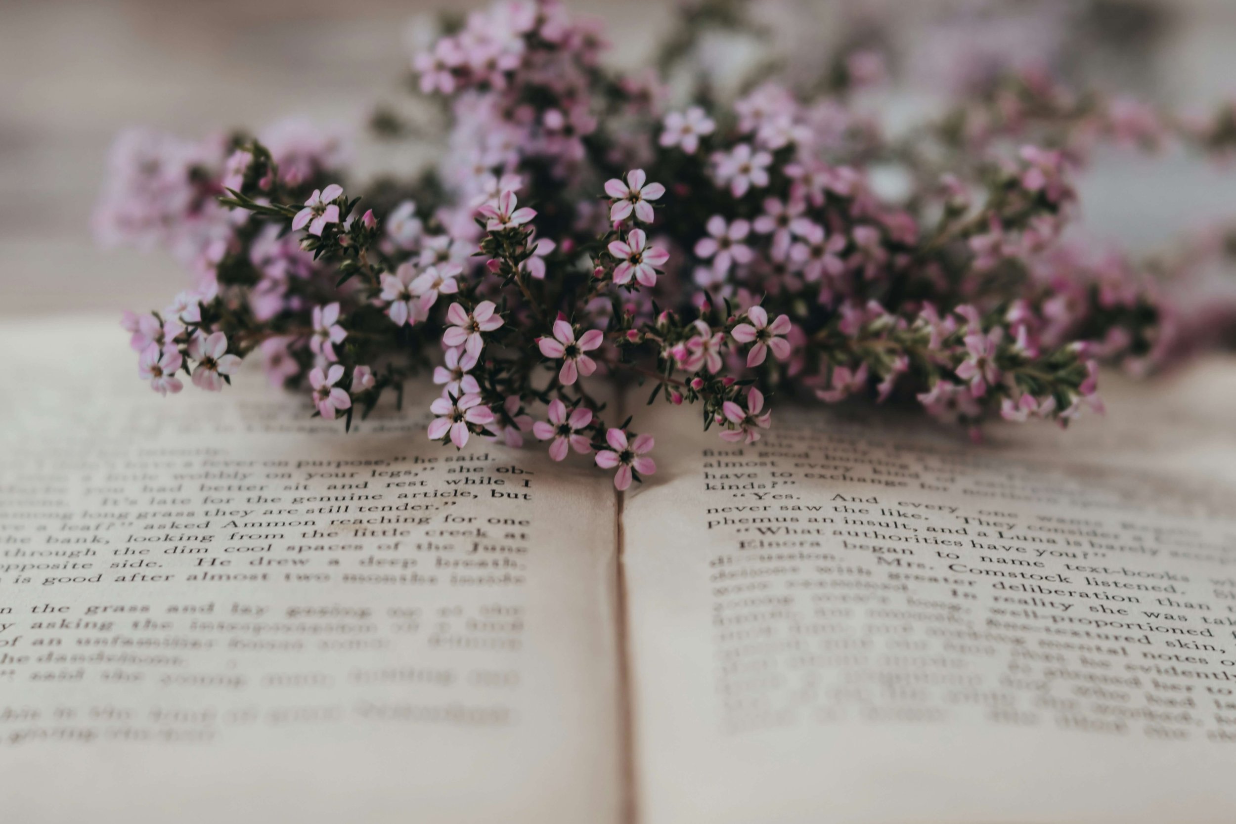 Close-up of a bunch of small pink and white flowers resting on open book pages with printed text.
