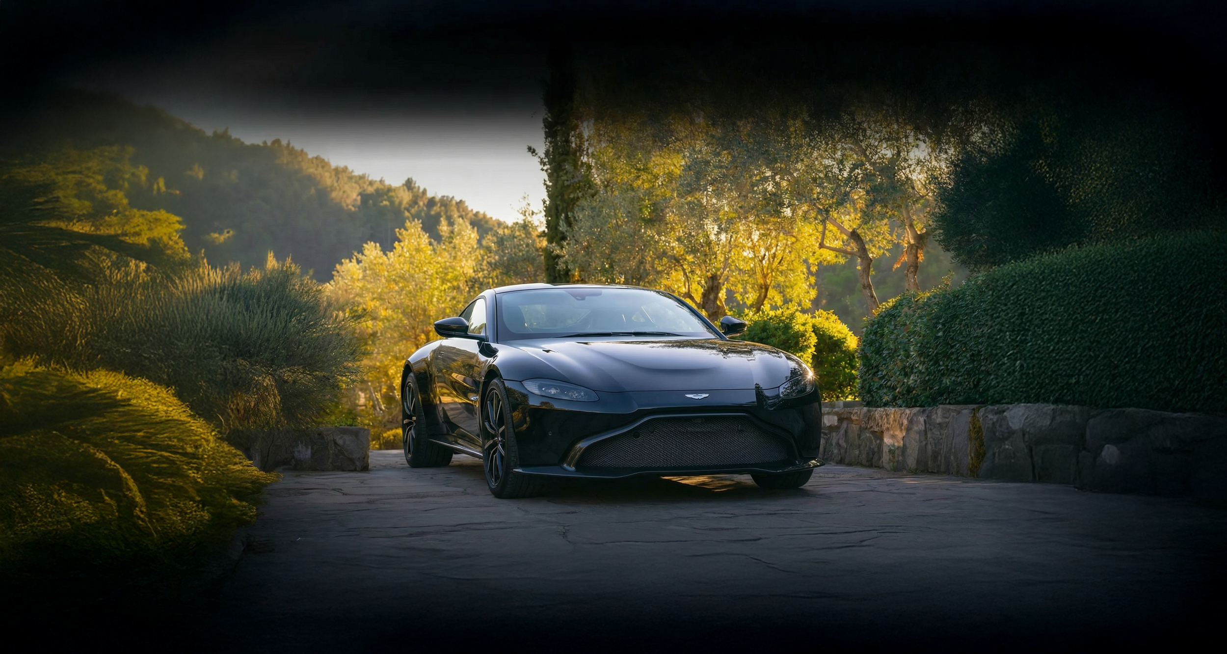 A sleek black Aston Martin sports car parked on a driveway surrounded by lush green trees and bushes, with sunlight filtering through the foliage.