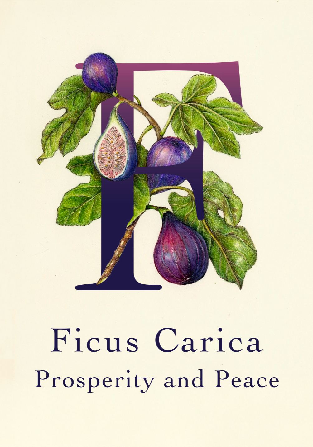 Illustration of a fig branch with green leaves and purple figs, one cut open showing the interior, behind a large stylized letter 'F' and the text 'Ficus Carica Prosperity and Peace'.