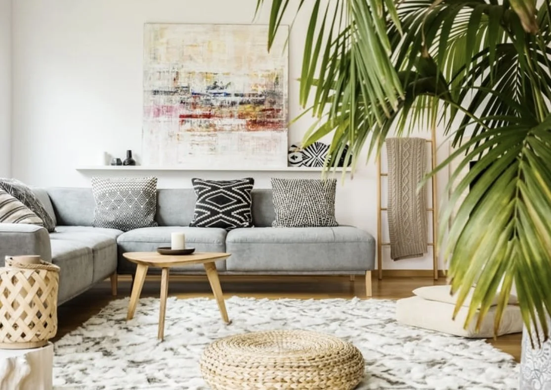 A cozy living room featuring a gray sectional sofa with black and white patterned pillows, a small wooden coffee table with a candle, a textured white rug, a tall wooden ladder with a beige blanket, a large indoor plant with lush green leaves, and abstract wall art.