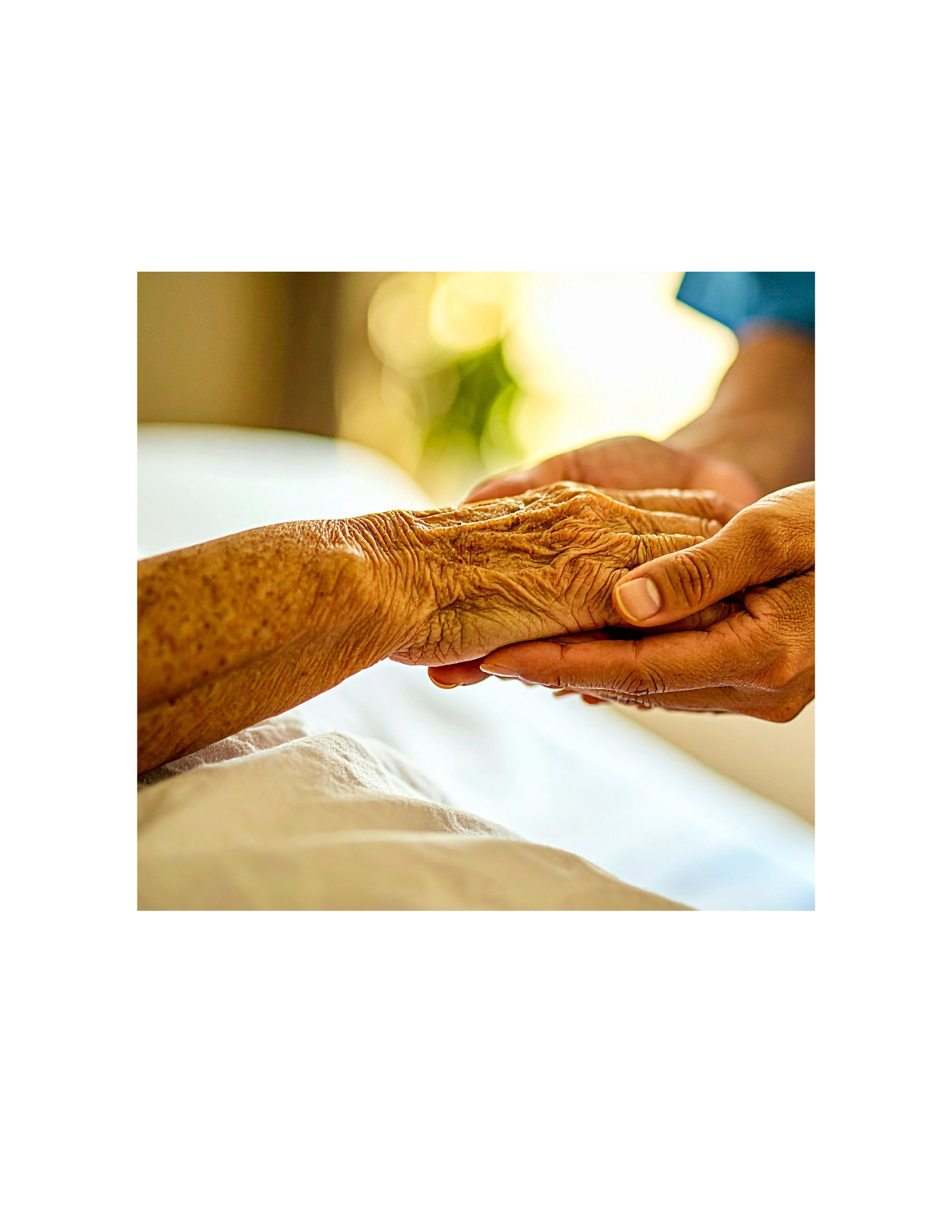 A caregiver holding an elderly person's hand gently.