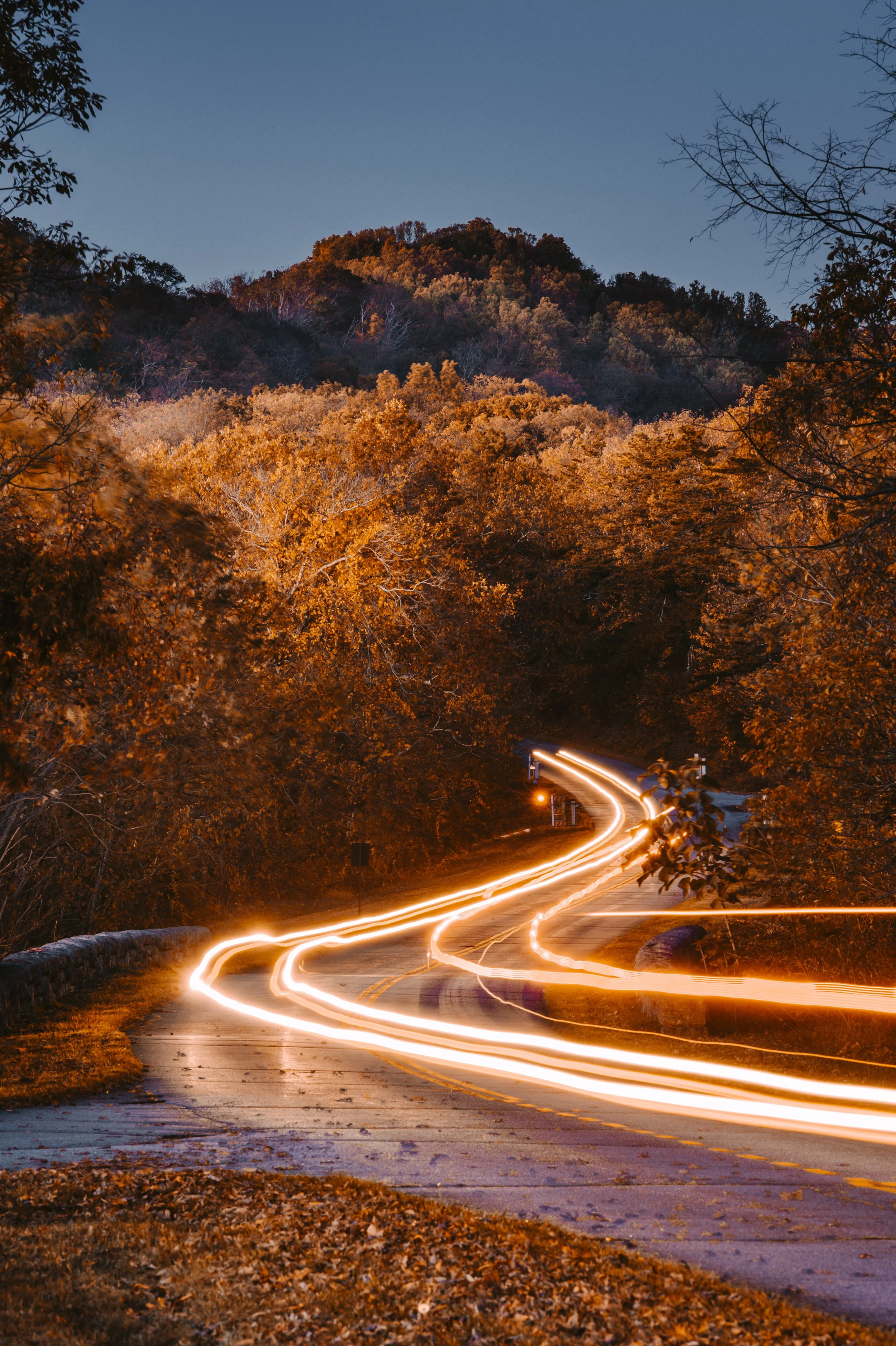 A winding road through a wooded area with autumn-colored trees, with light trails from moving vehicles captured in long exposure during dusk.