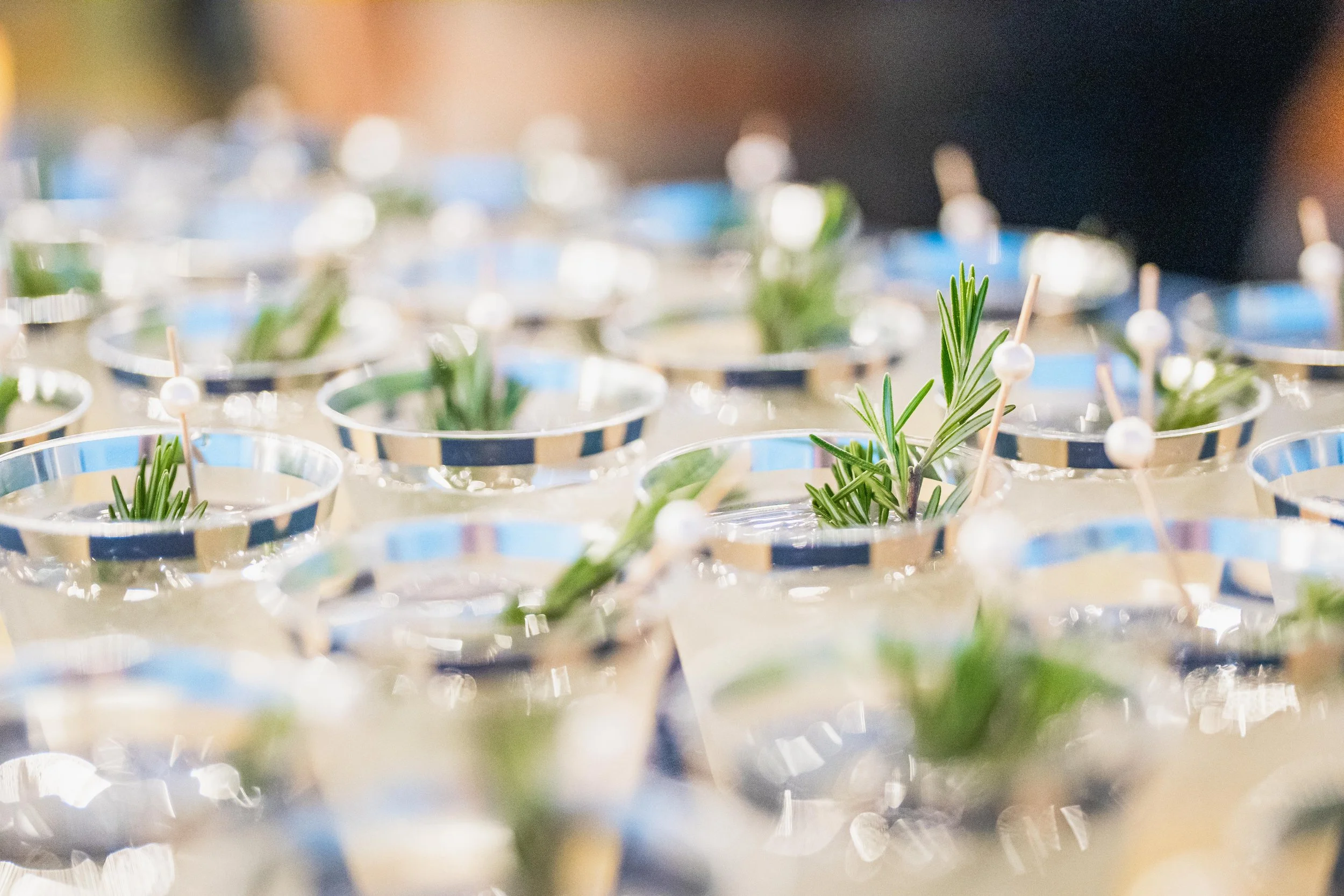 Several small glass cups filled with water, each containing a sprig of rosemary and a small white pick with a round top, arranged on a table.